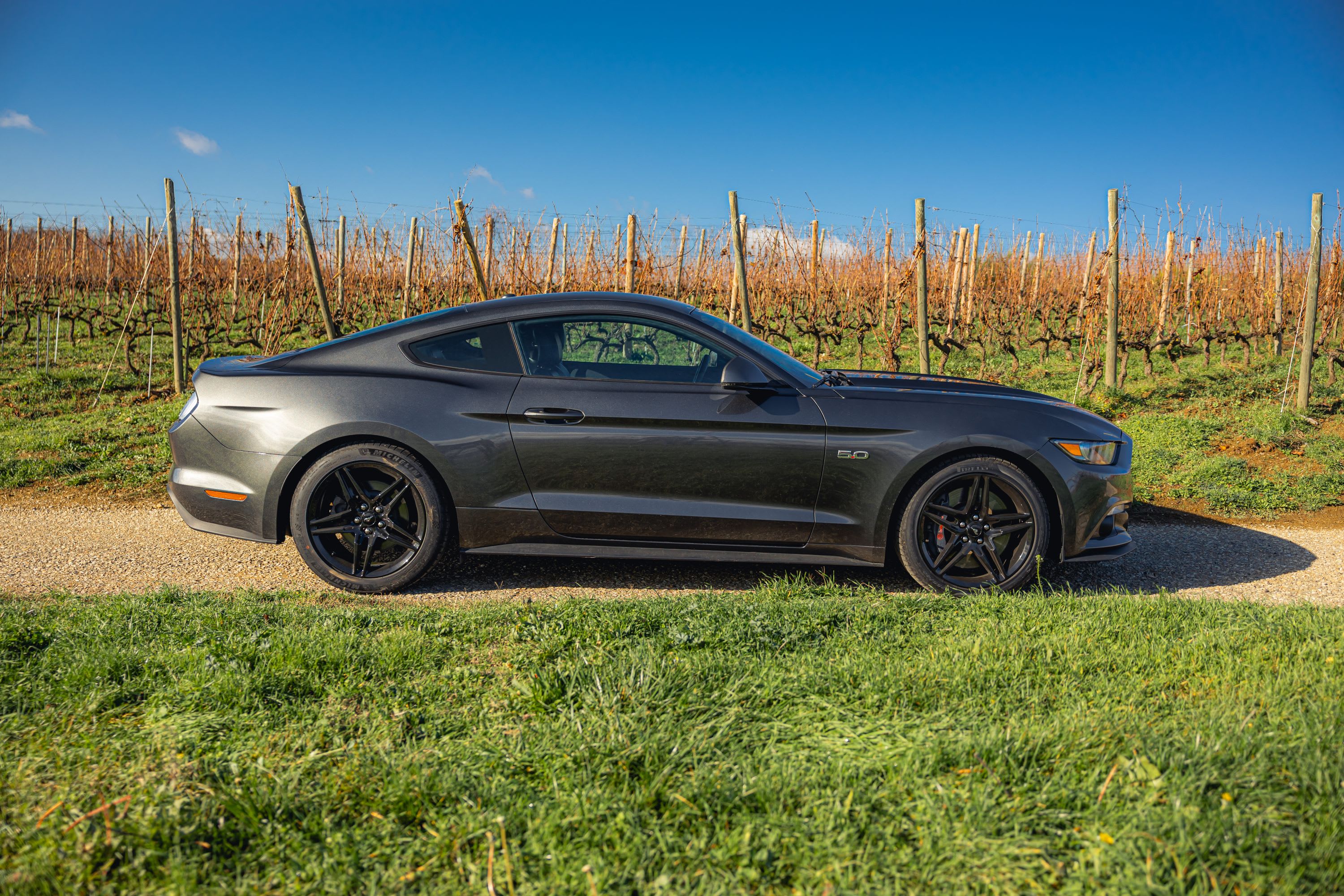 FORD Mustang Fastback V8 5.0 2018 occasion extérieur (2)