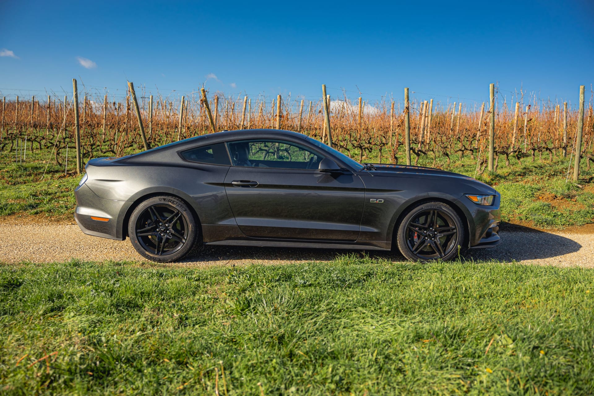 Ford Mustang Fastback V8 5.0