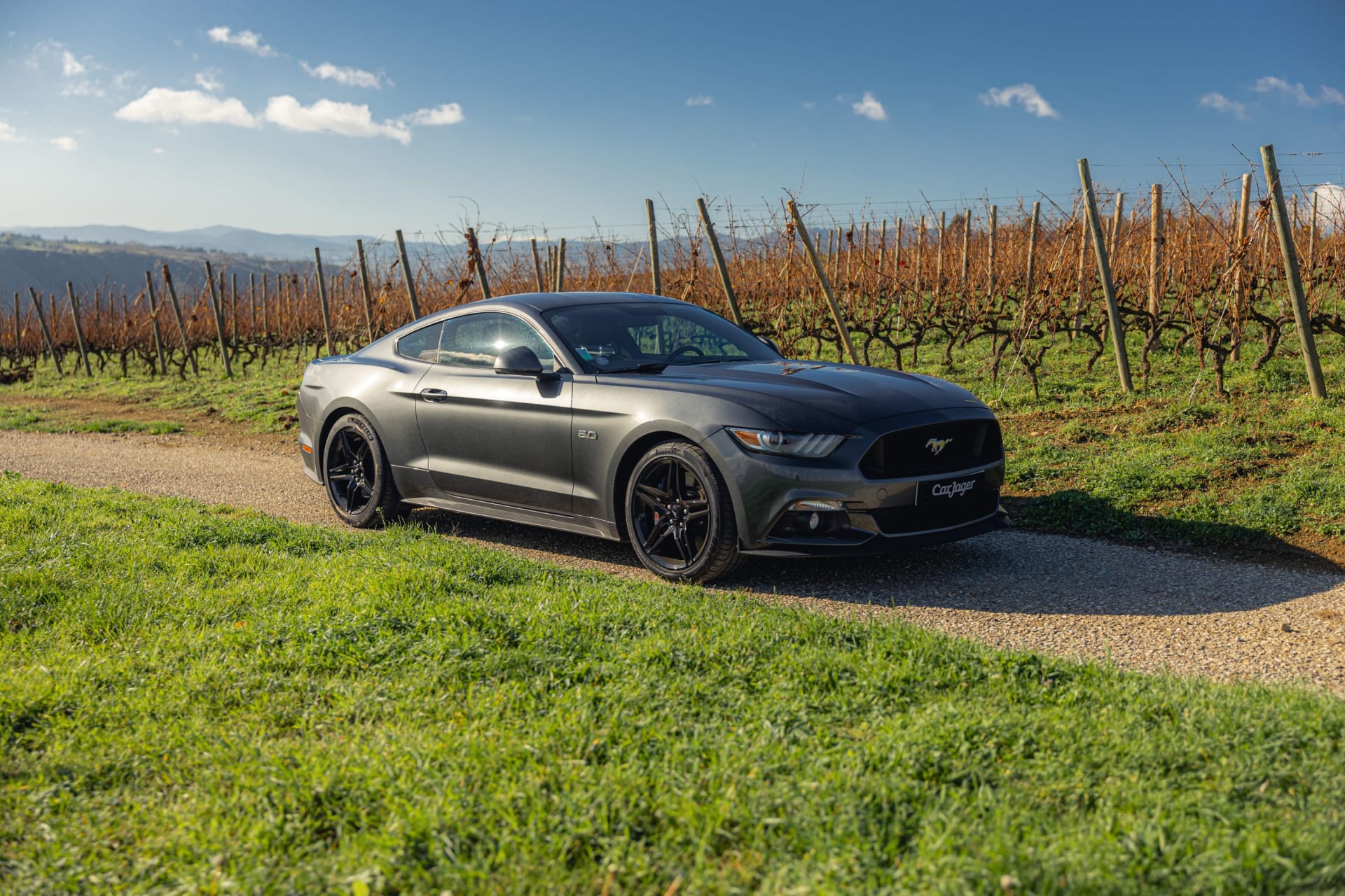 Ford Mustang Fastback V8 5.0