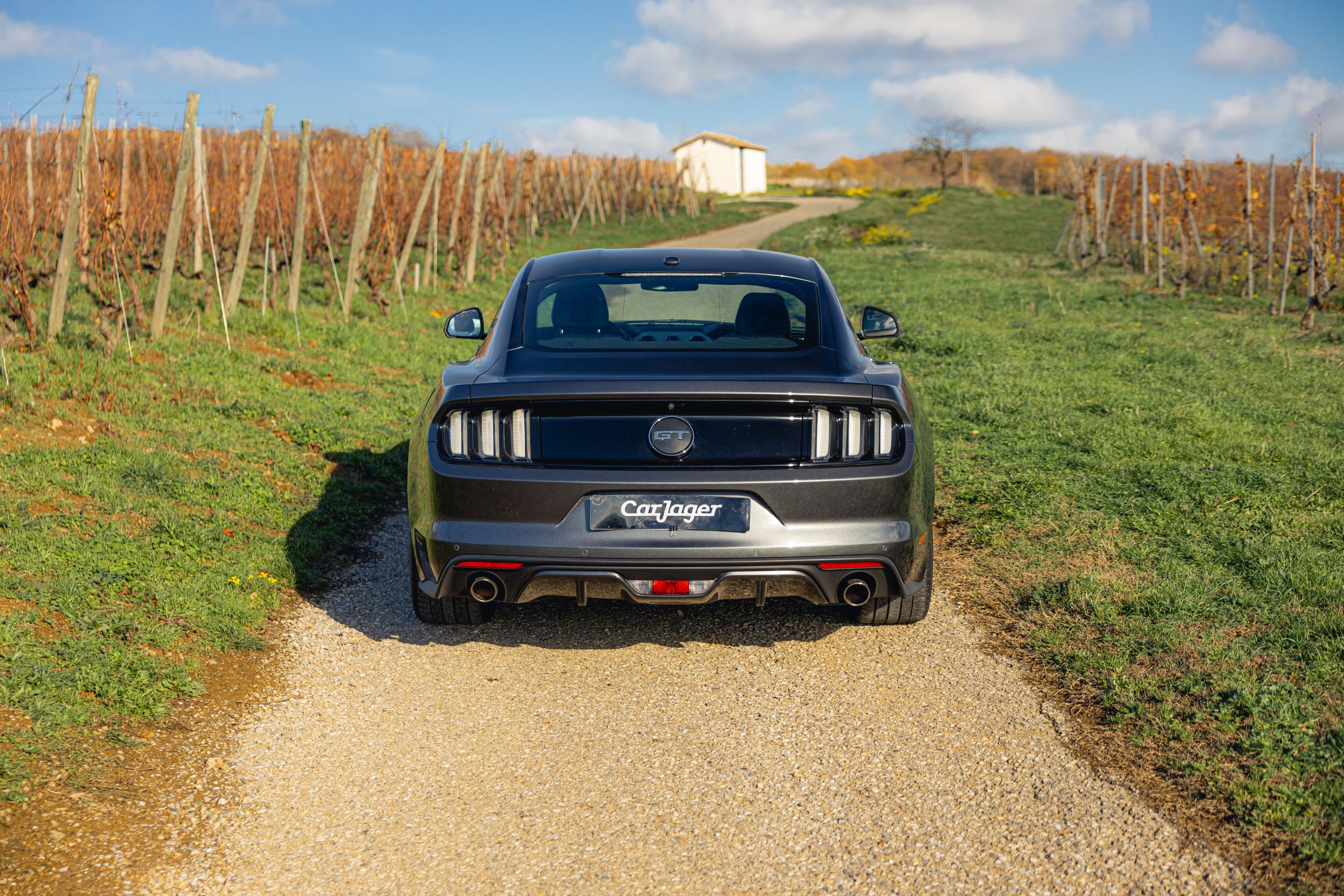 FORD Mustang Fastback V8 5.0 2018 occasion vidéo (1)