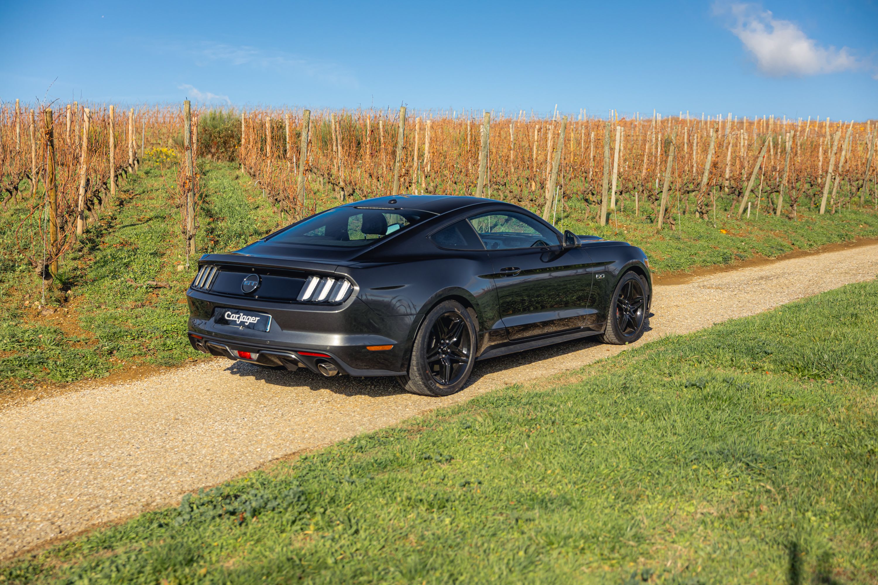 Ford Mustang Fastback V8 5.0