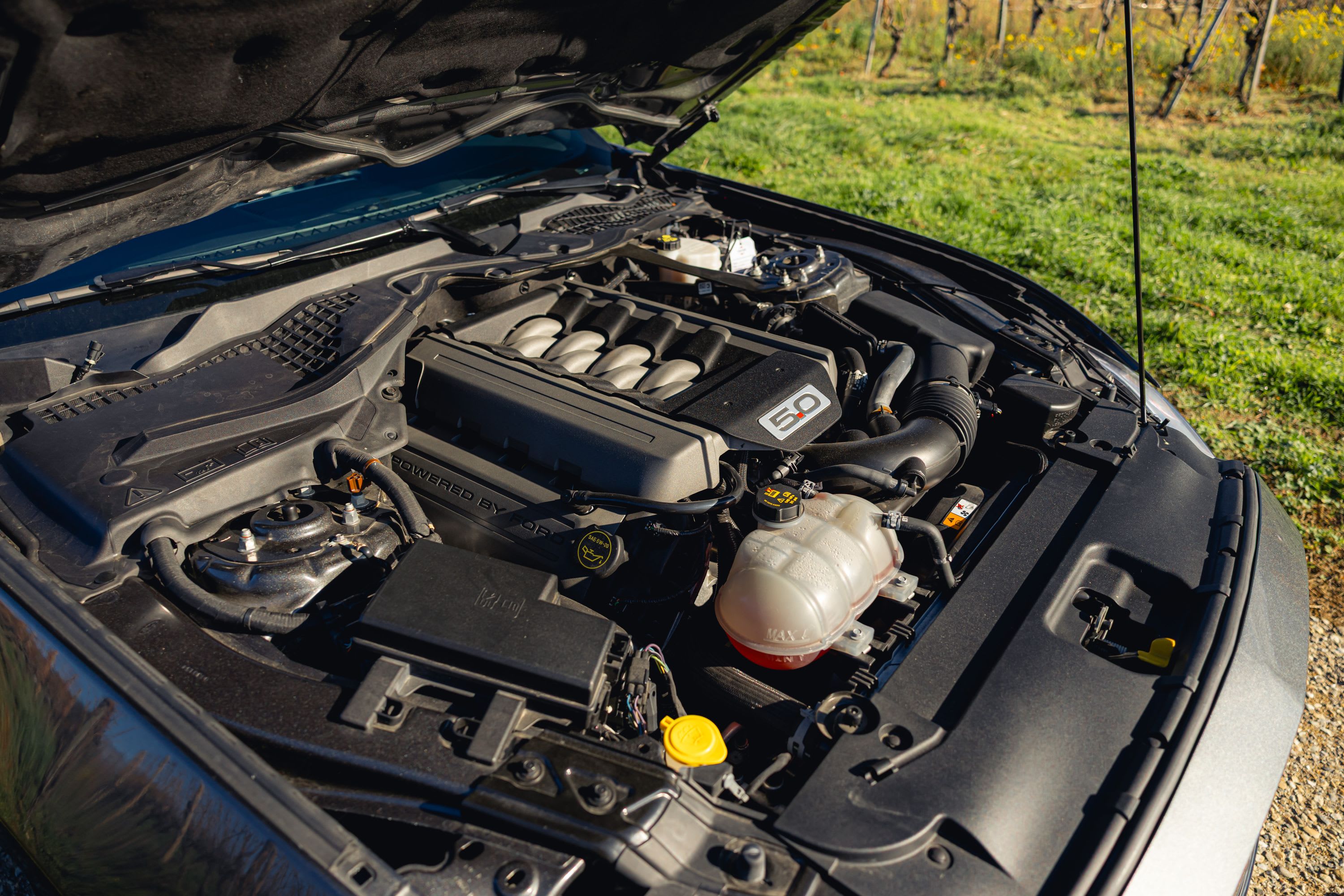 FORD Mustang Fastback V8 5.0 2018 occasion mécanique (1)