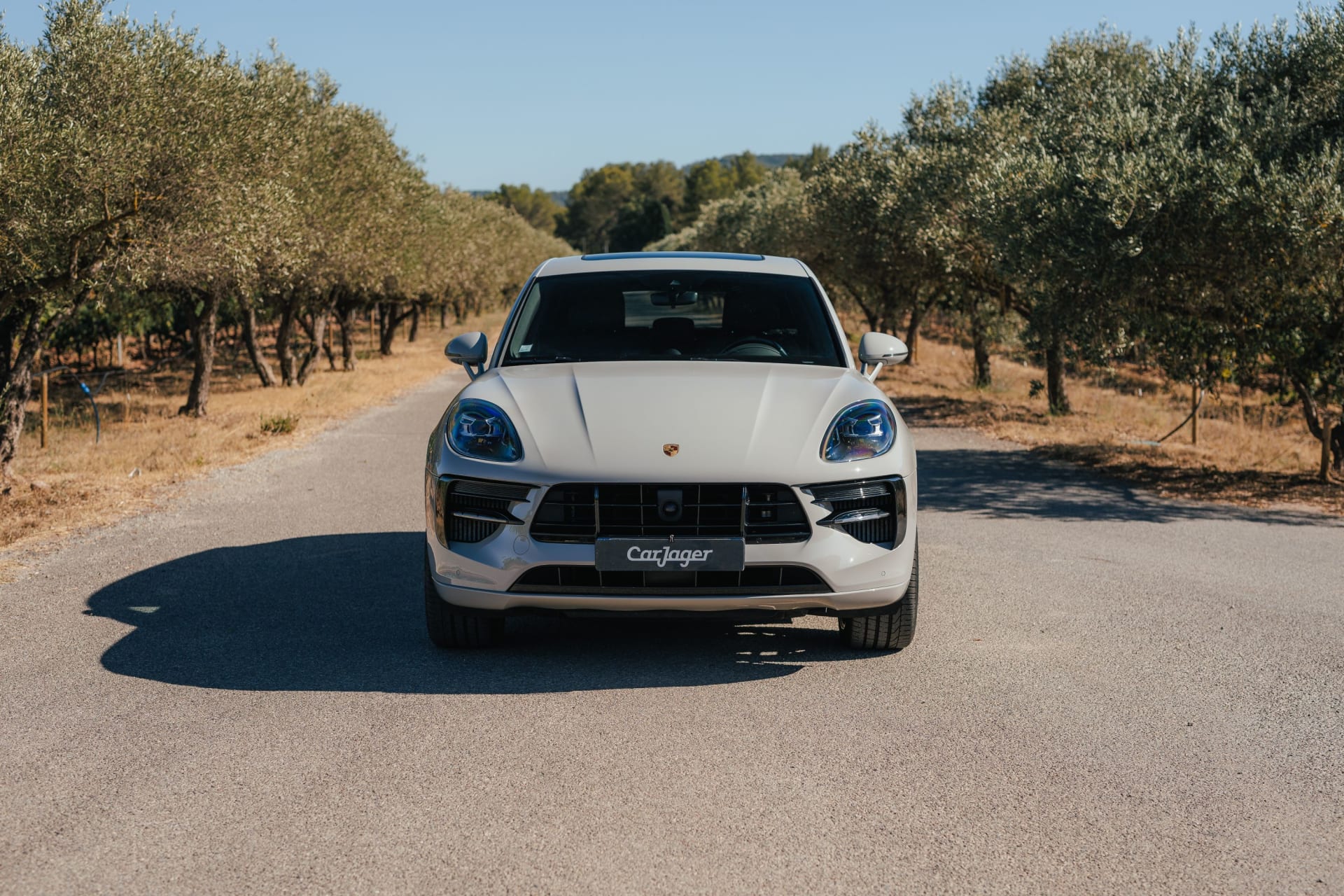 Porsche Macan S