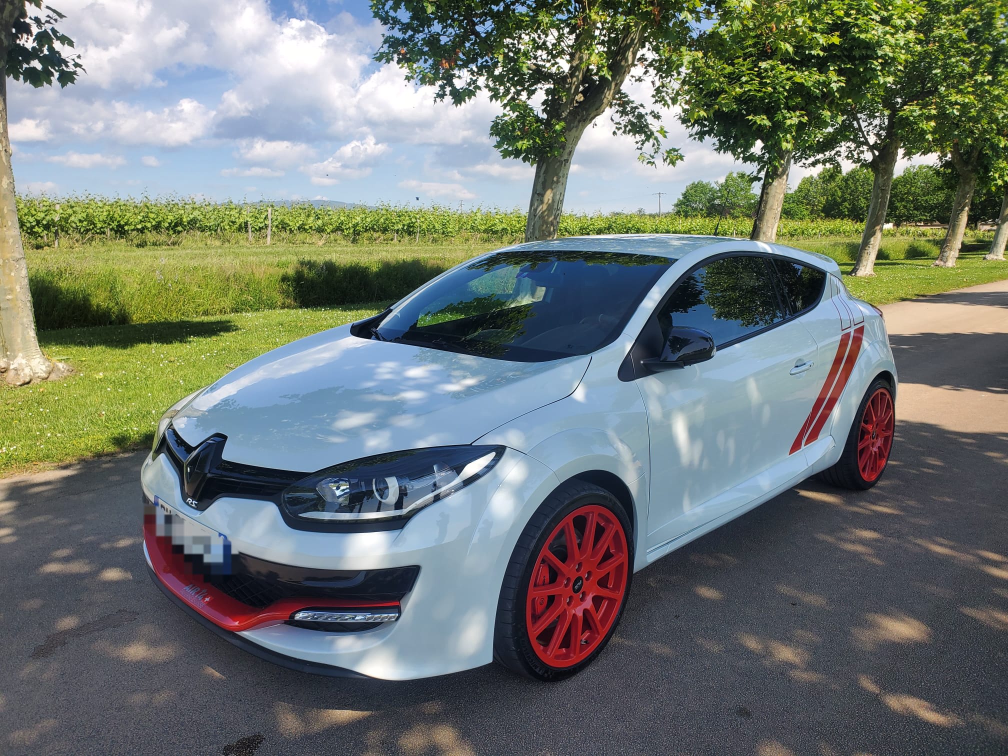 Renault Mégane Iii R.s. Trophy