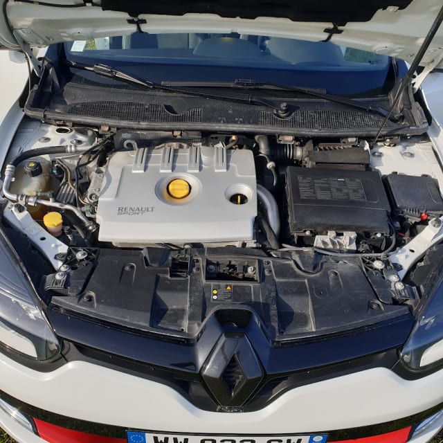 RENAULT Mégane Iii R.s. Trophy 2014 occasion