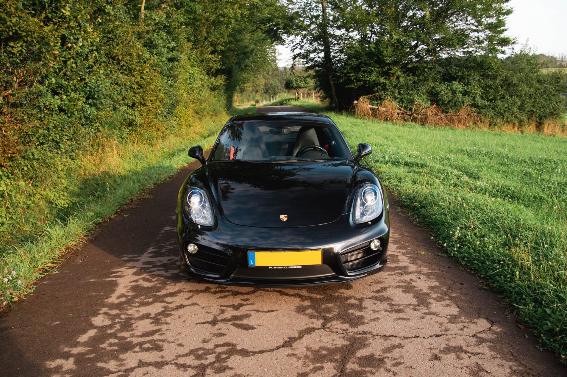 PORSCHE Cayman 981 S 2013