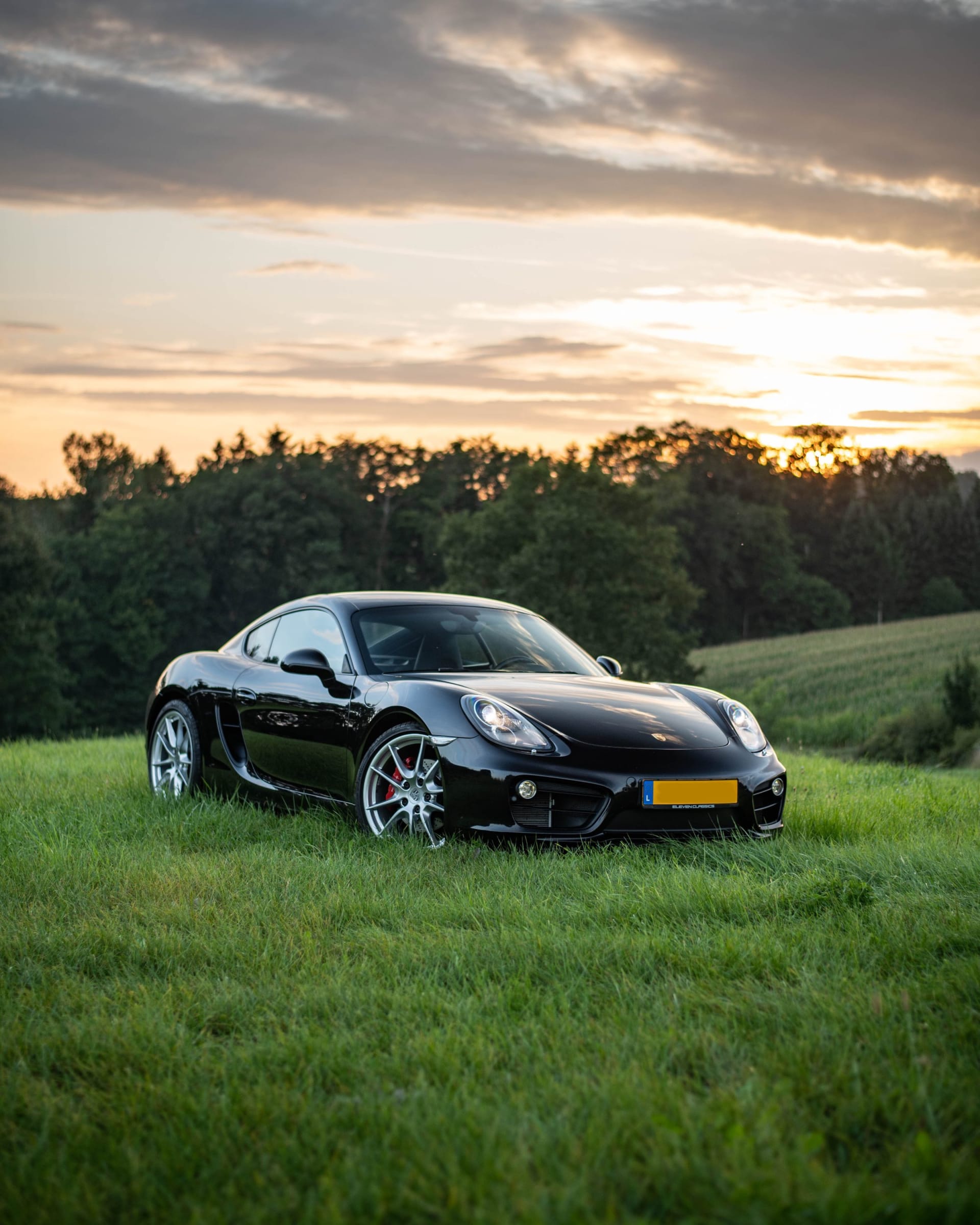 Porsche Cayman 981 S