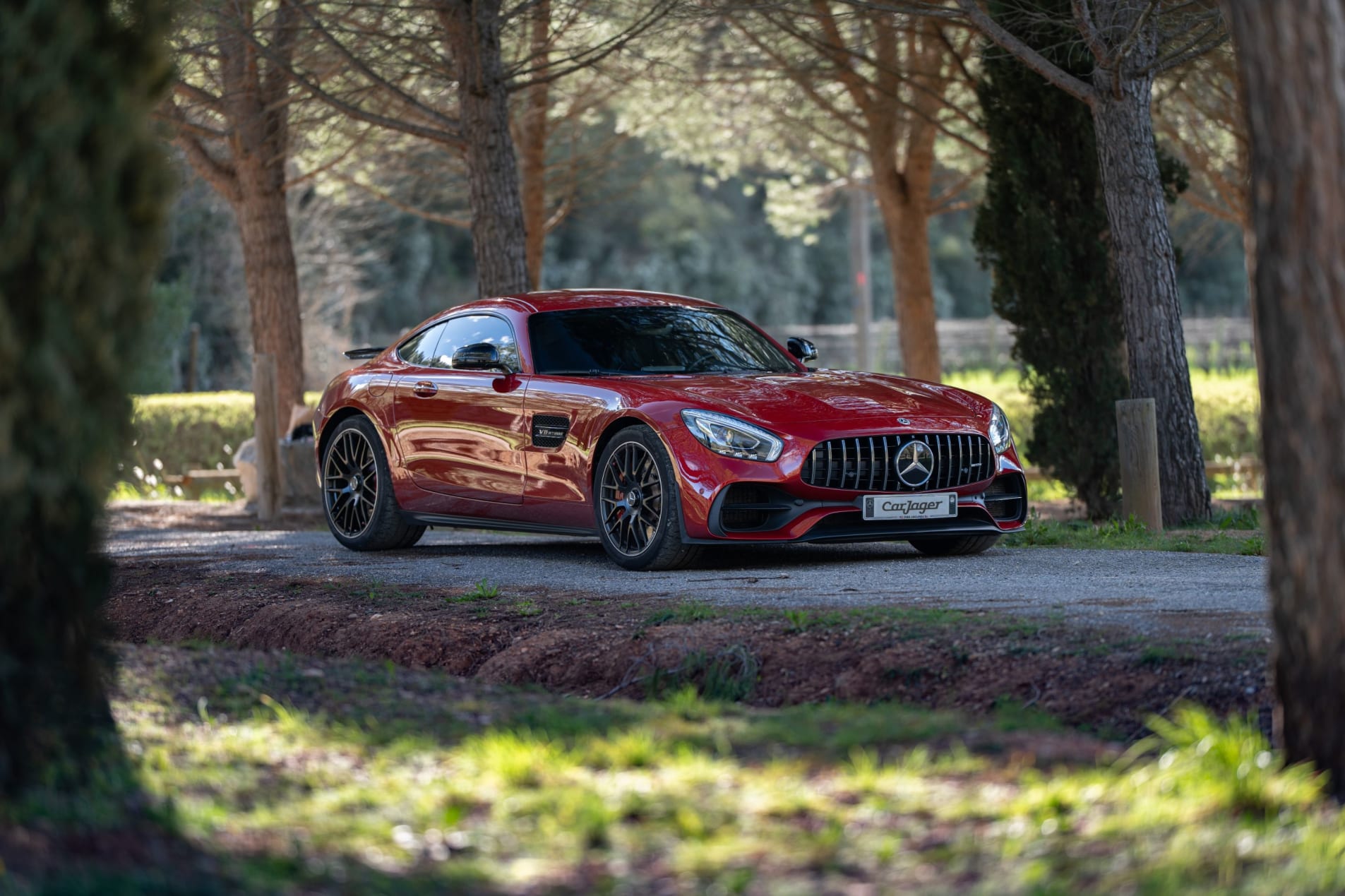 MERCEDES-BENZ Amg gt S 2018