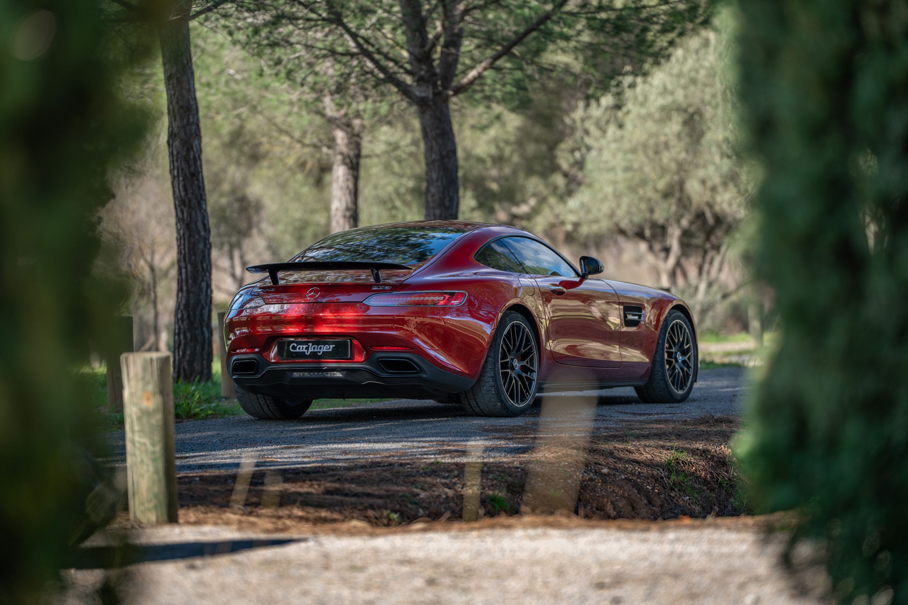 MERCEDES BENZ Amg Gt S 2018 occasion extérieur (2)