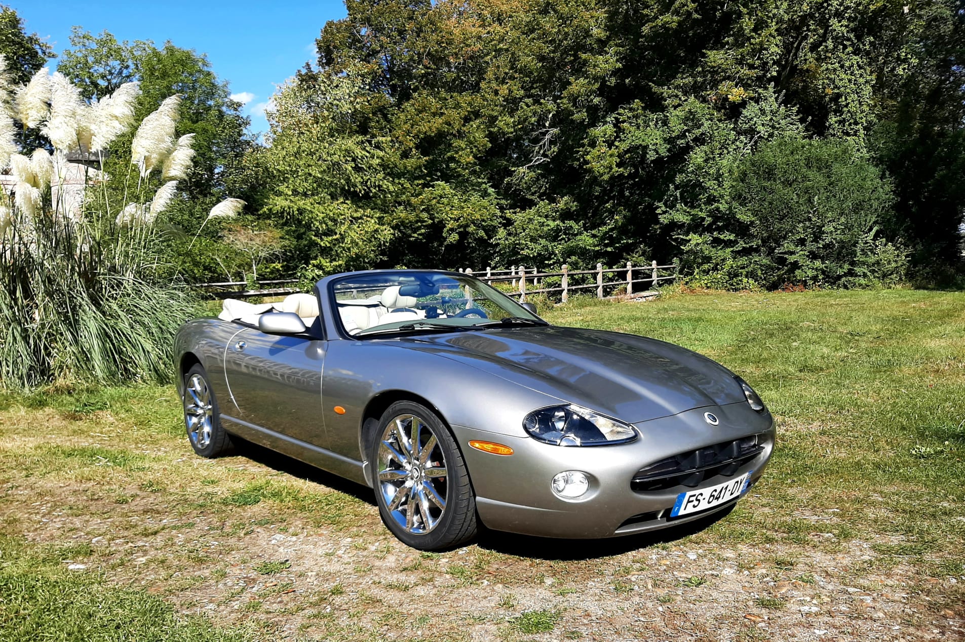 JAGUAR Xk8 x100 2006