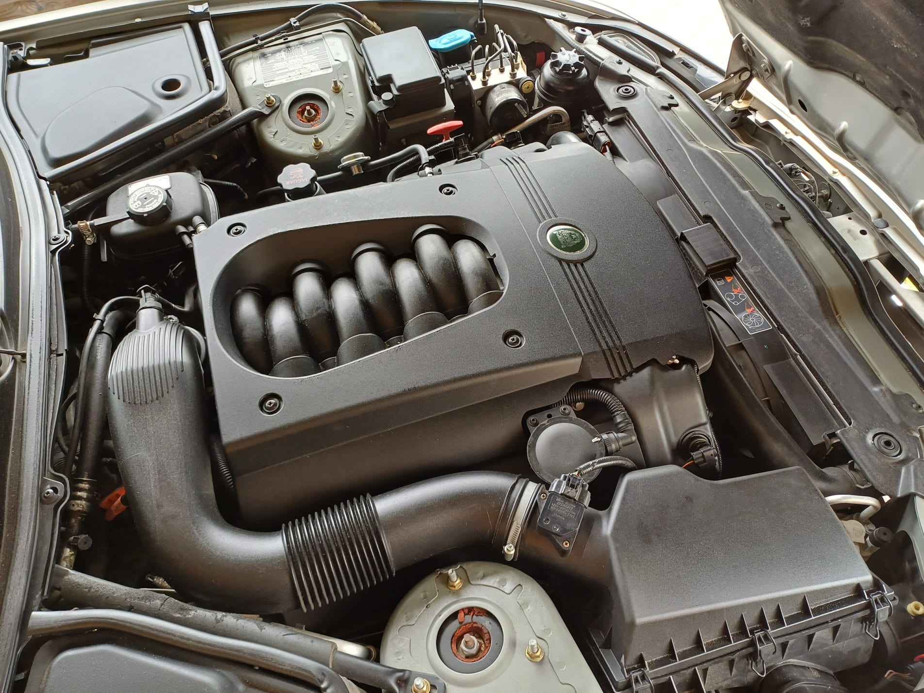 JAGUAR Xk8 x100 2006