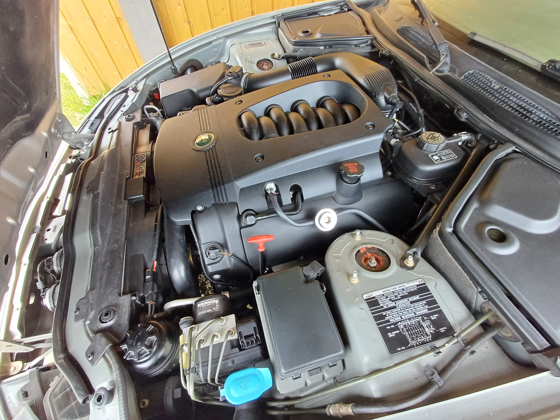 JAGUAR Xk8 x100 2006