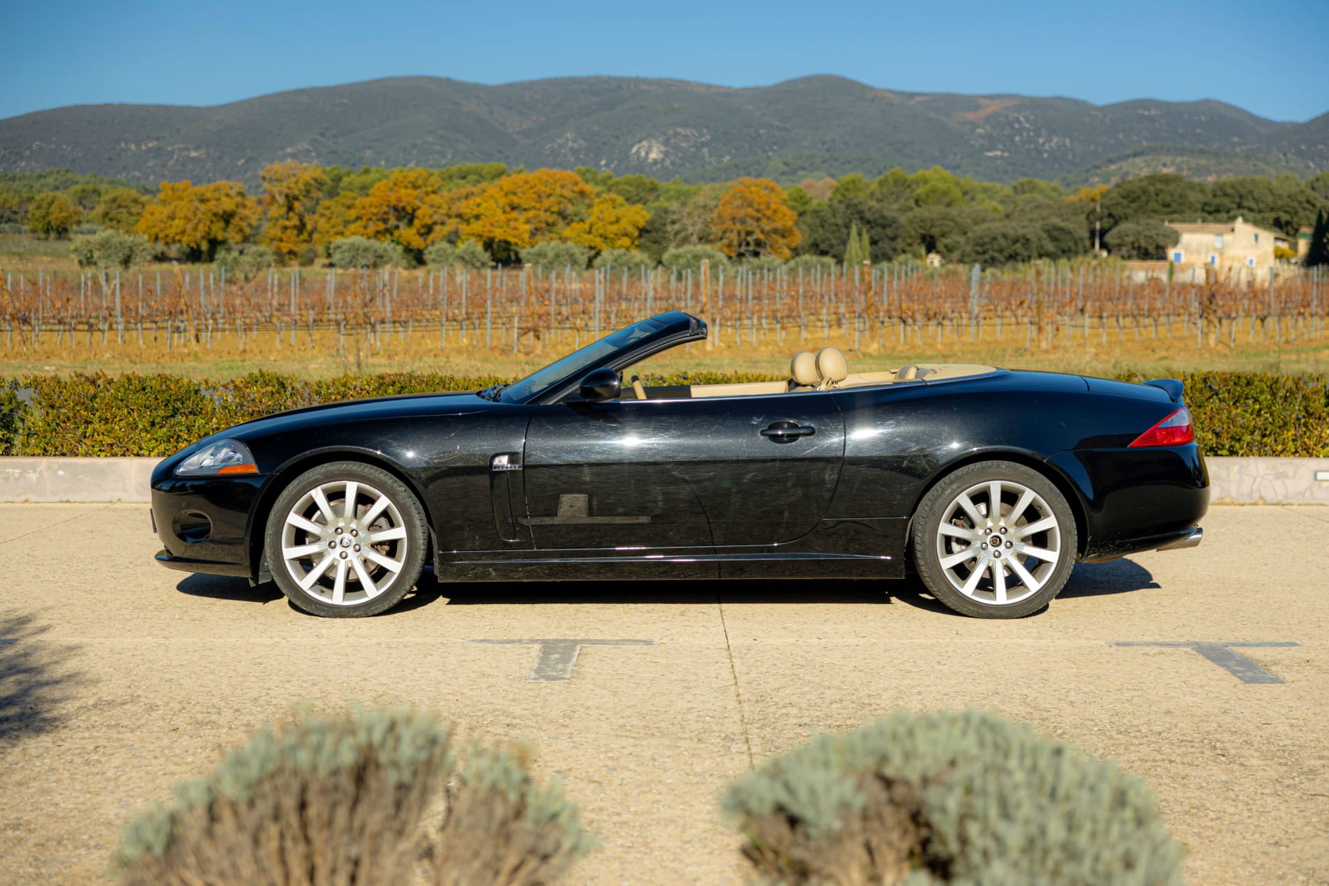 JAGUAR Xk8 Cabriolet 3.5 - 258 Cabriolet  2009