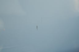 MORGAN 3-wheeler P 101 Edition Gulf 2013 used car