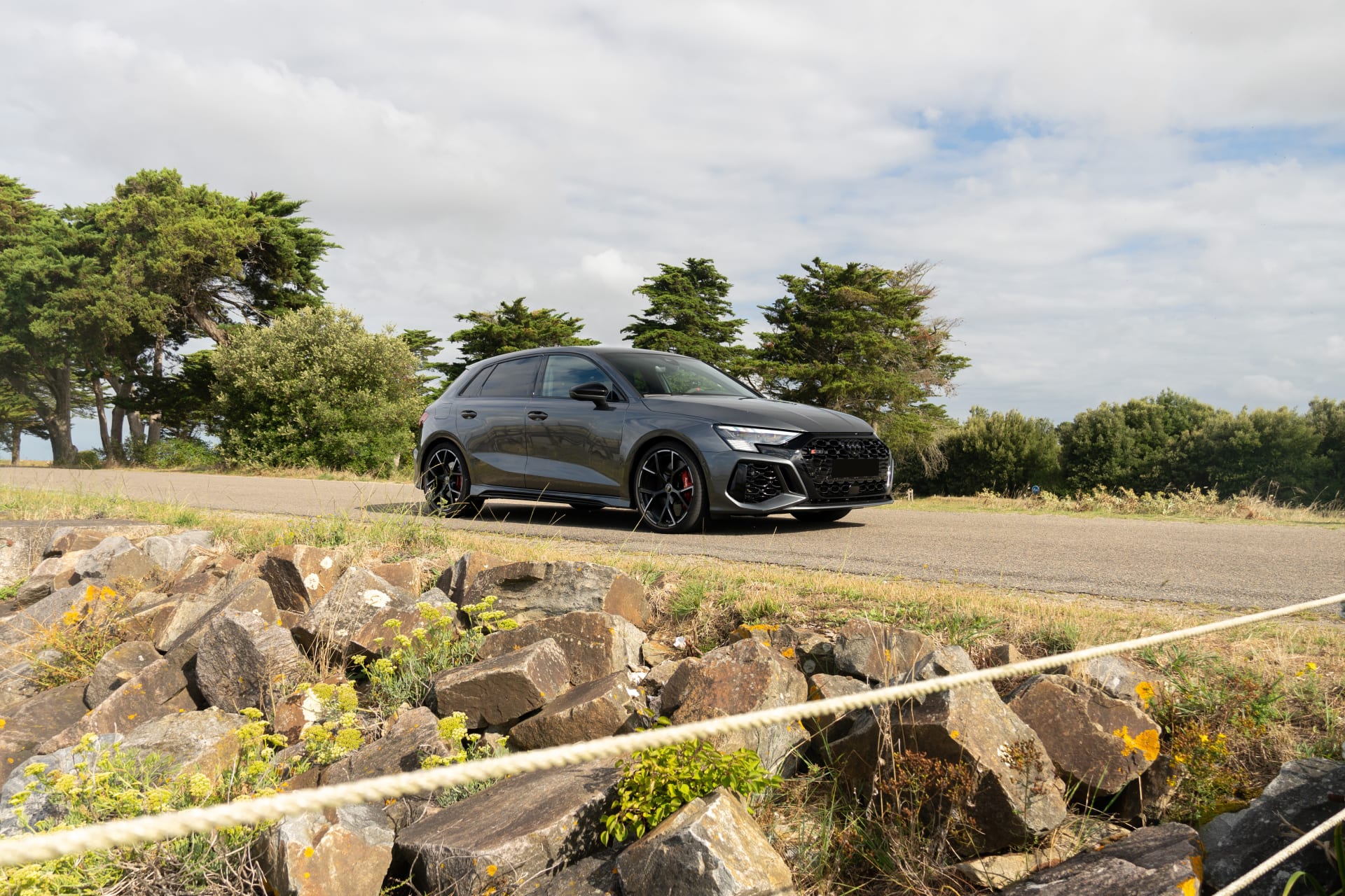 Audi Rs3  