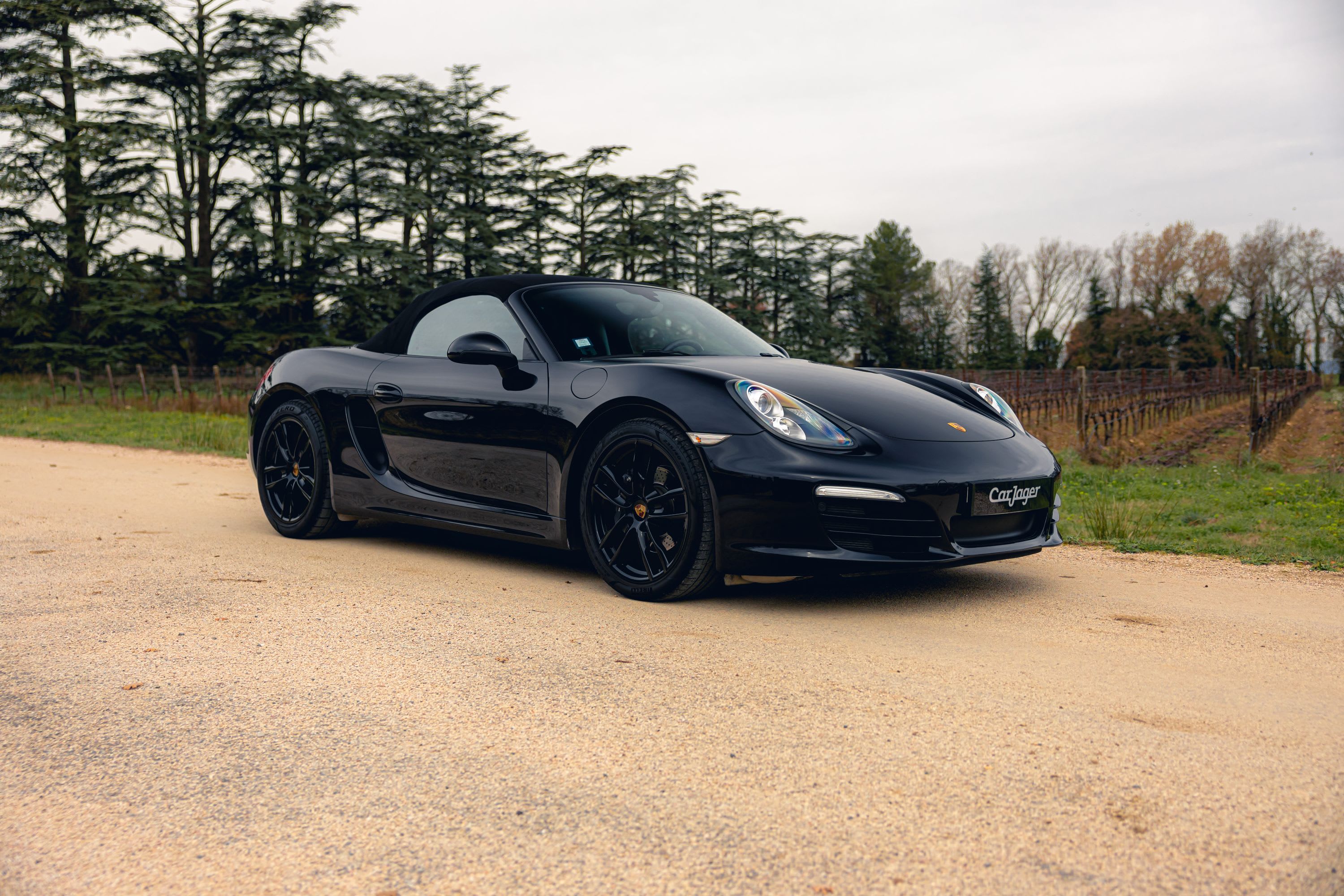 Porsche Boxster 981