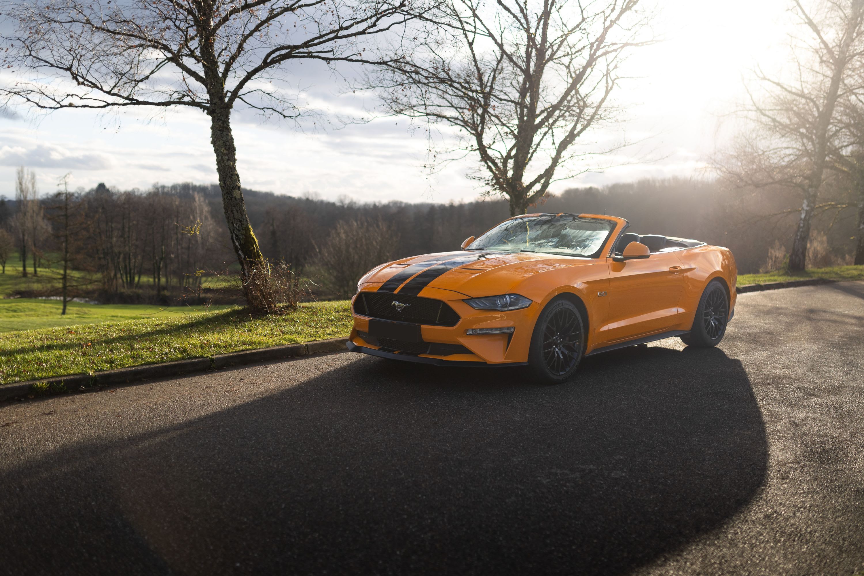 FORD Mustang Gt 5.0 Cabriolet 2019 occasion extérieur (2)