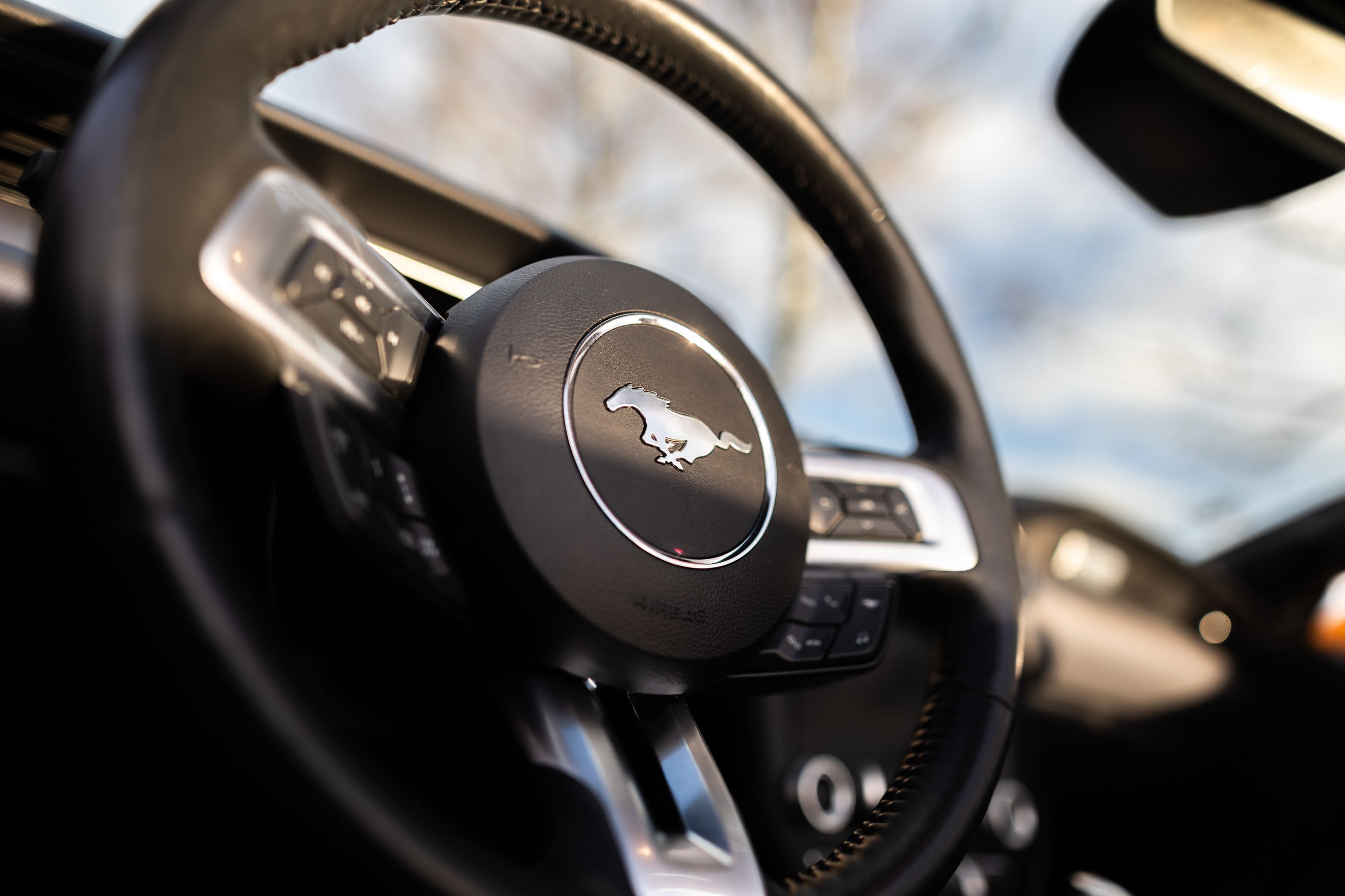 FORD Mustang Gt 5.0 Cabriolet 2019 occasion intérieur (1)