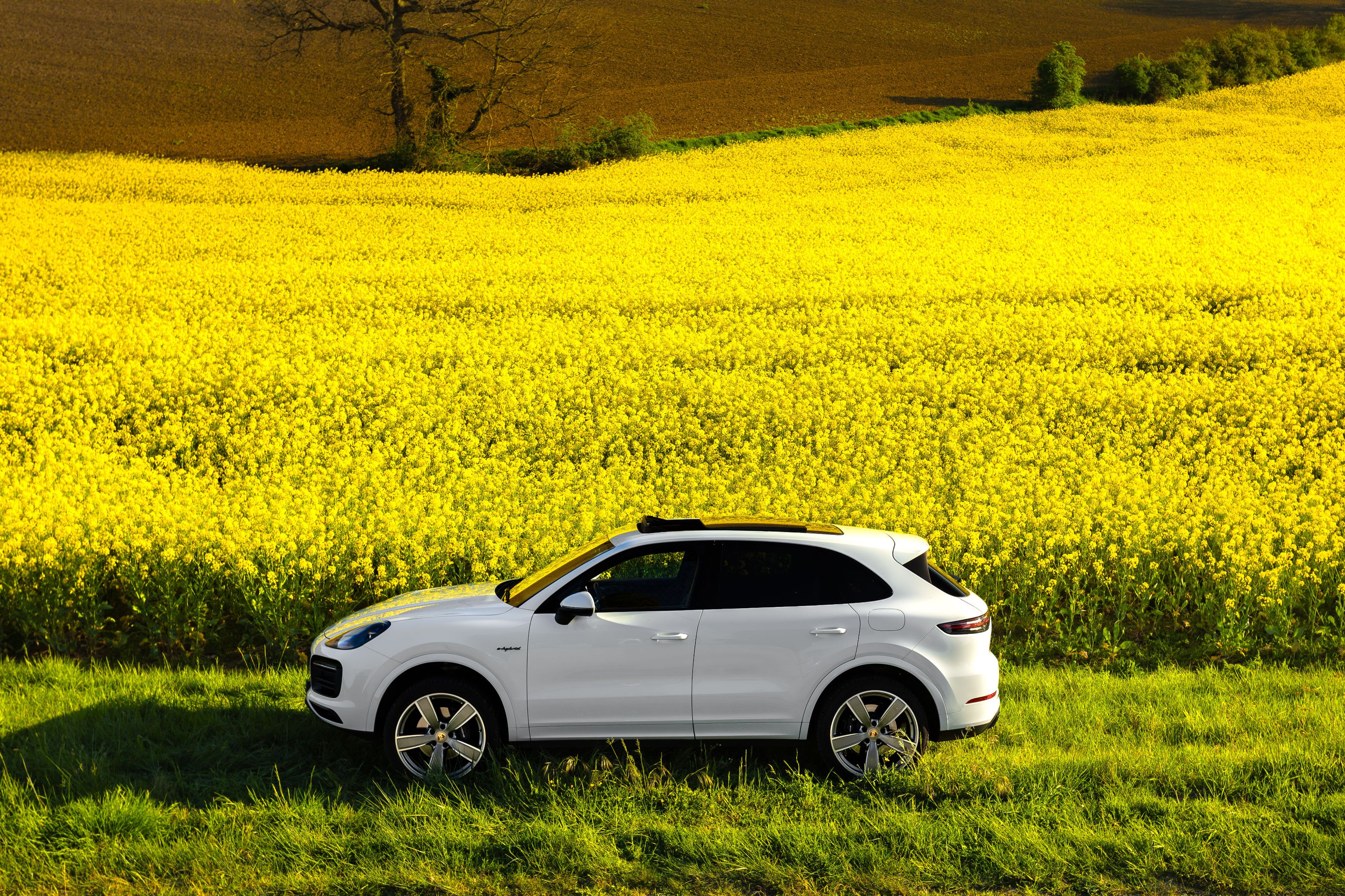 Porsche Cayenne E3 E-hybrid