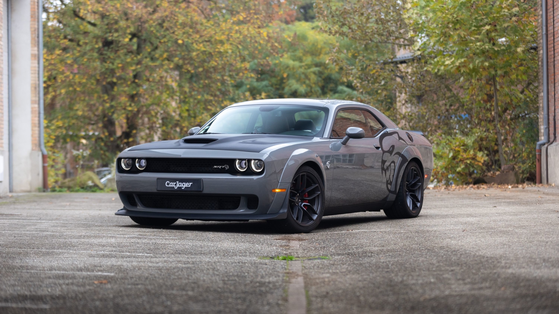 Photo DODGE Challenger hellcat widebody srt 2018