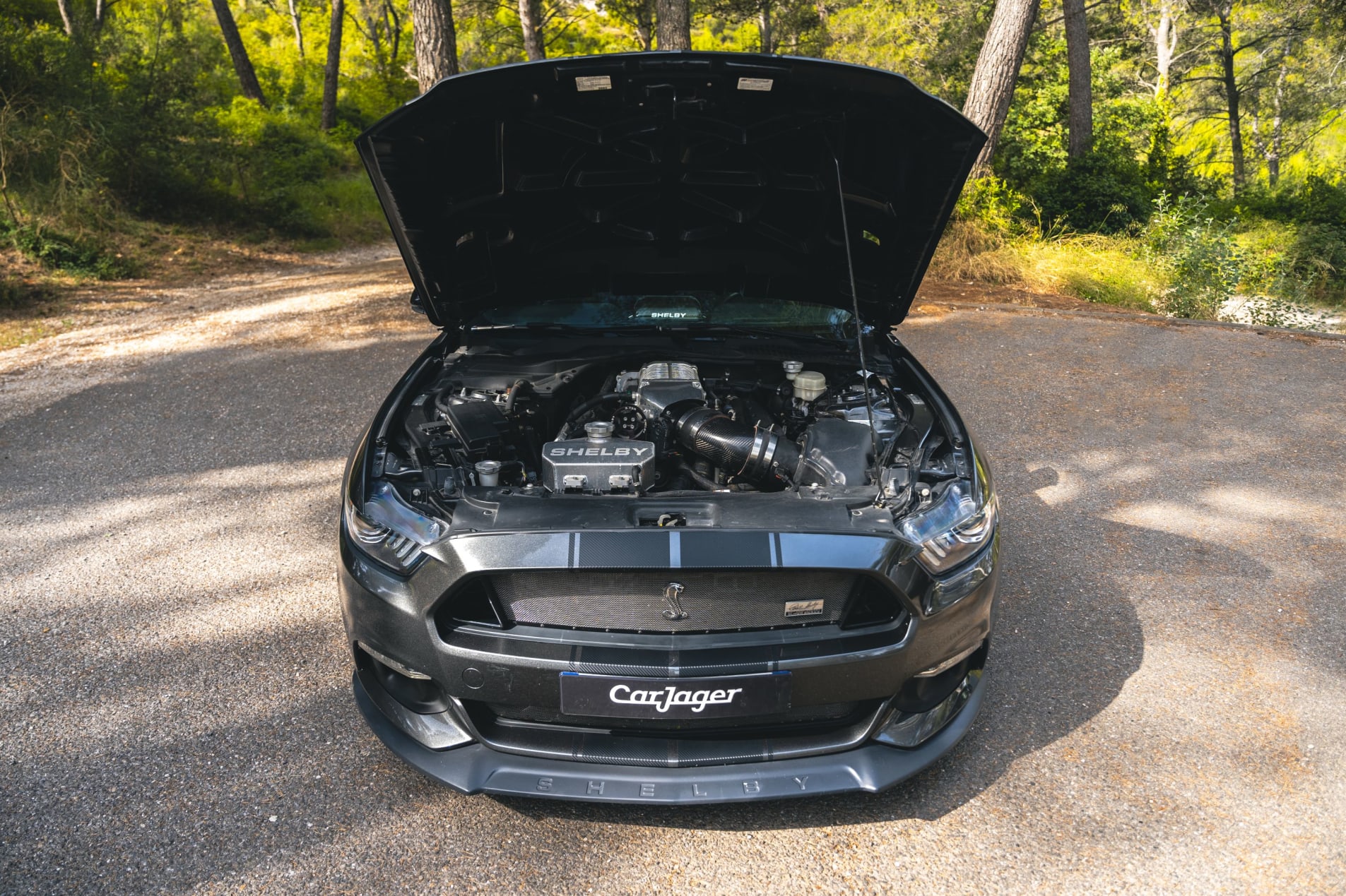 FORD Mustang Shelby Super Snake 2017