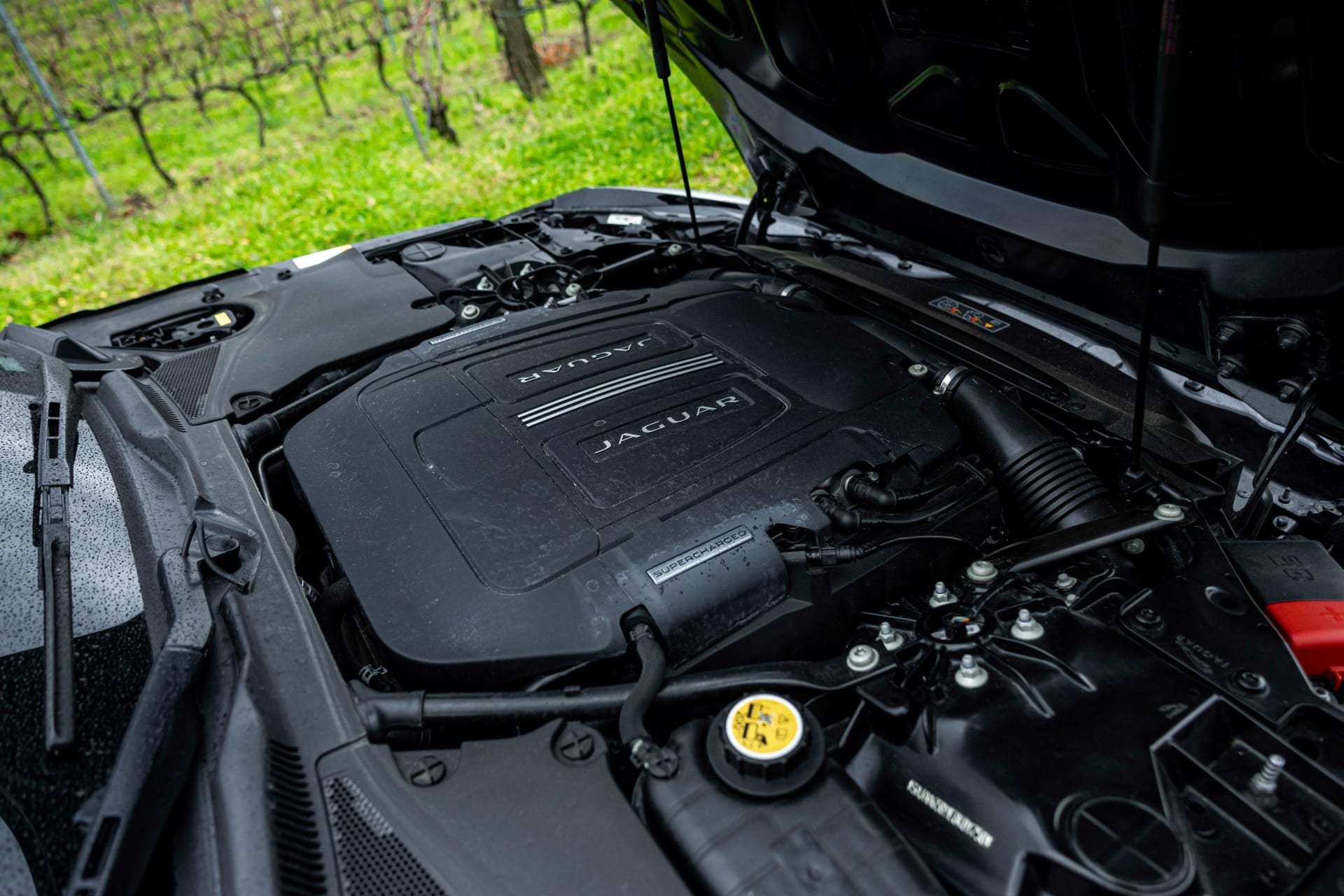 JAGUAR F-type  S Cabriolet  2013 occasion mécanique (1)