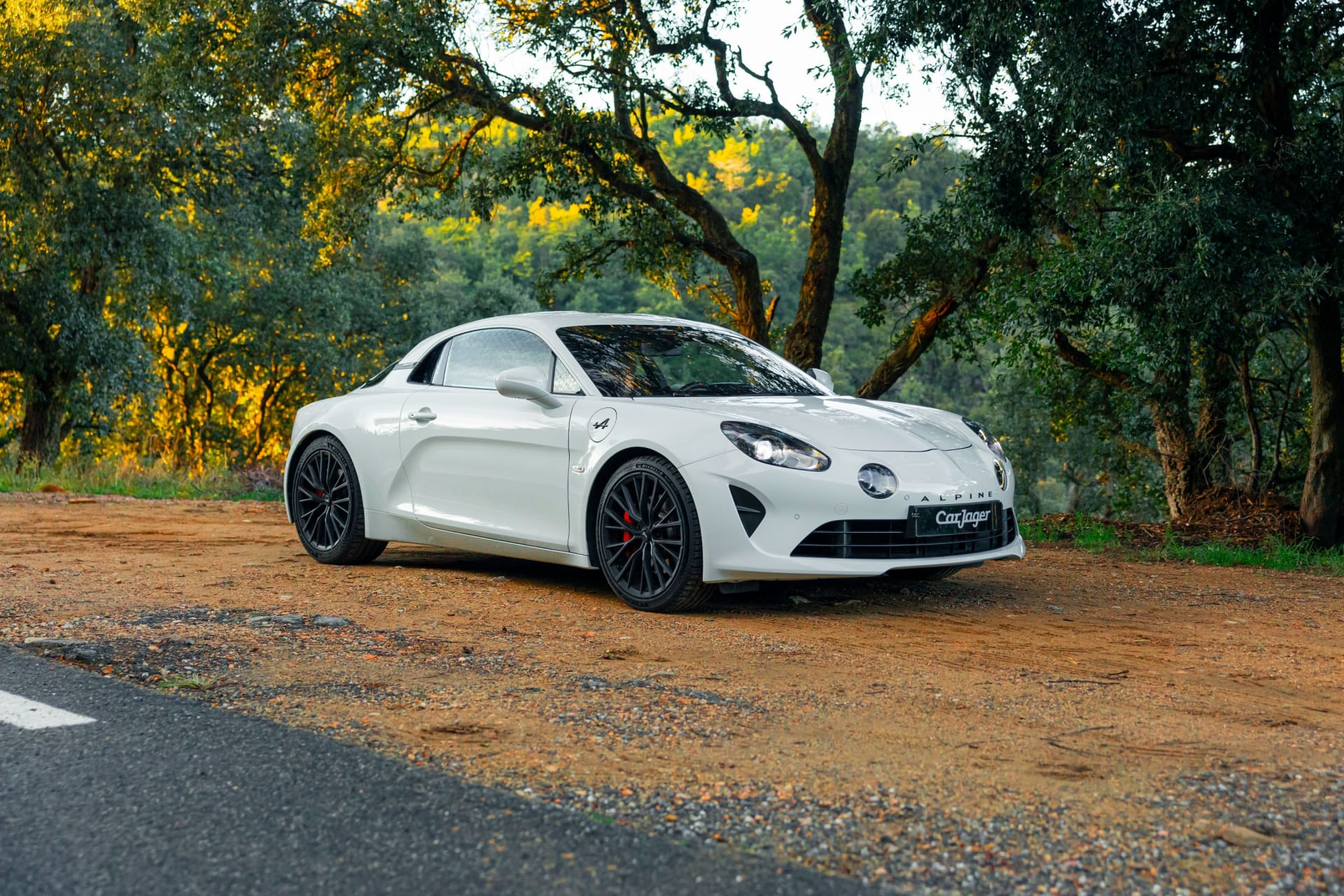 Alpine A110 S