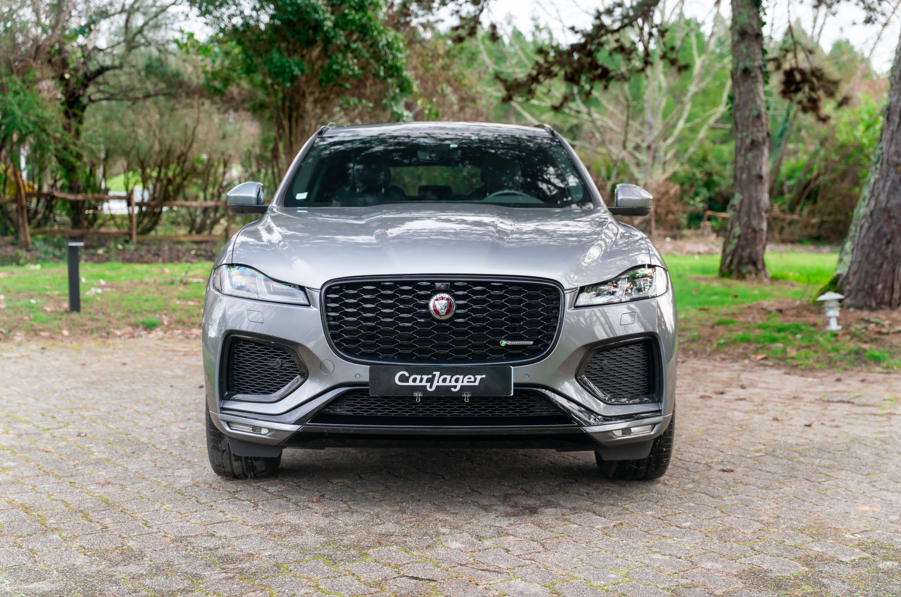 JAGUAR F-pace 2021 used exterior (2)