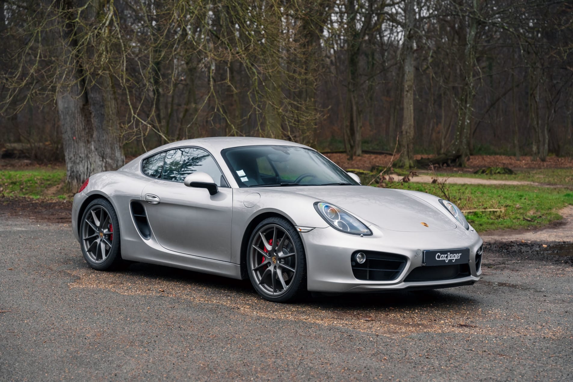 PORSCHE Cayman 981 S 2014