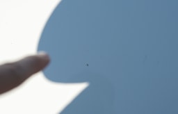 PORSCHE Boxster 981 Gts 2014 occasion