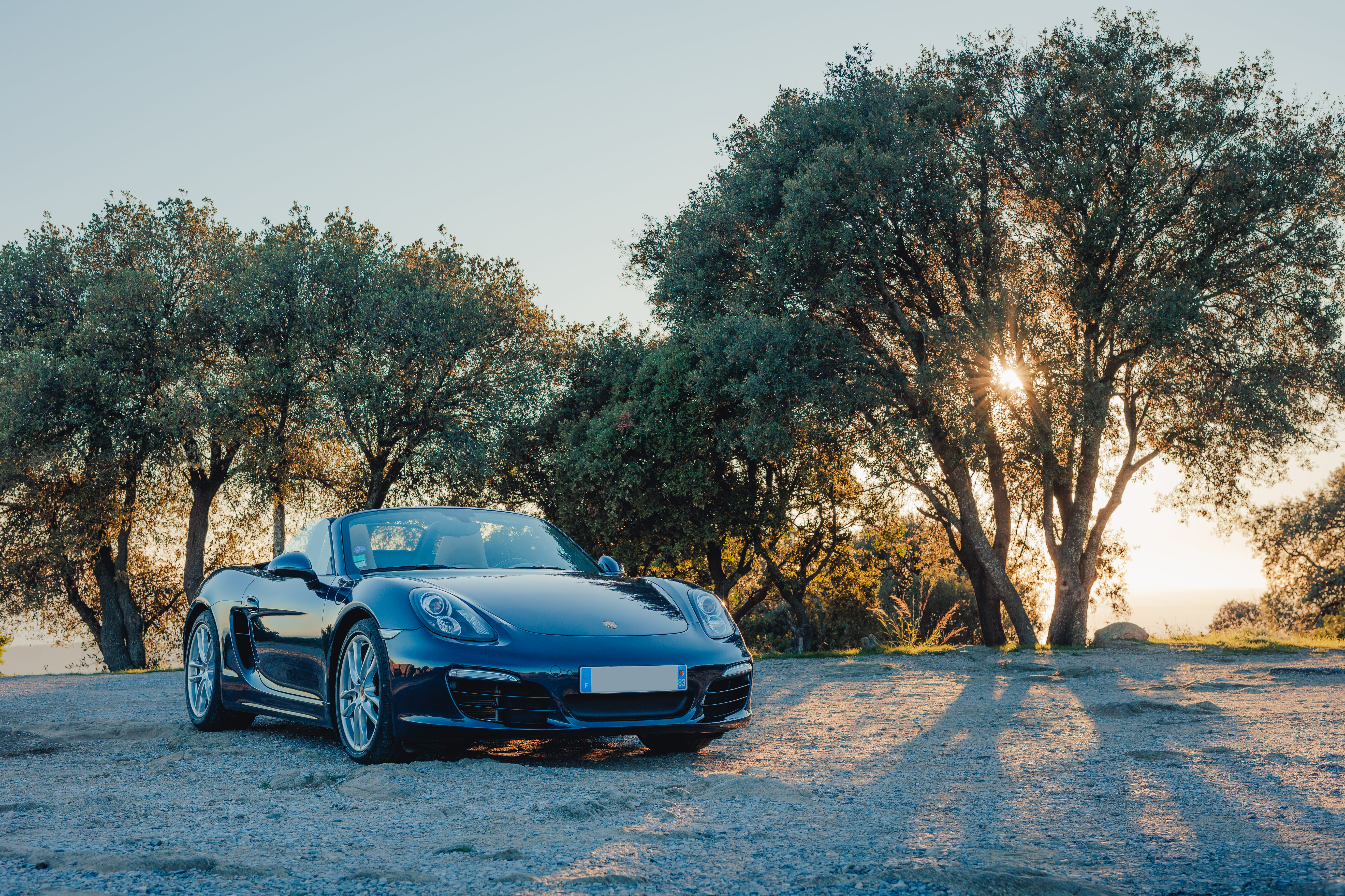 Porsche Boxster 981