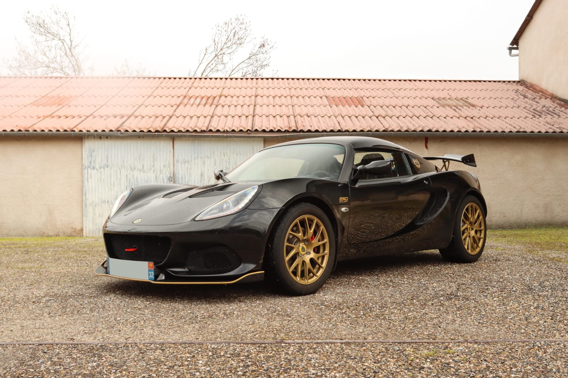 lotus elise Cup 250