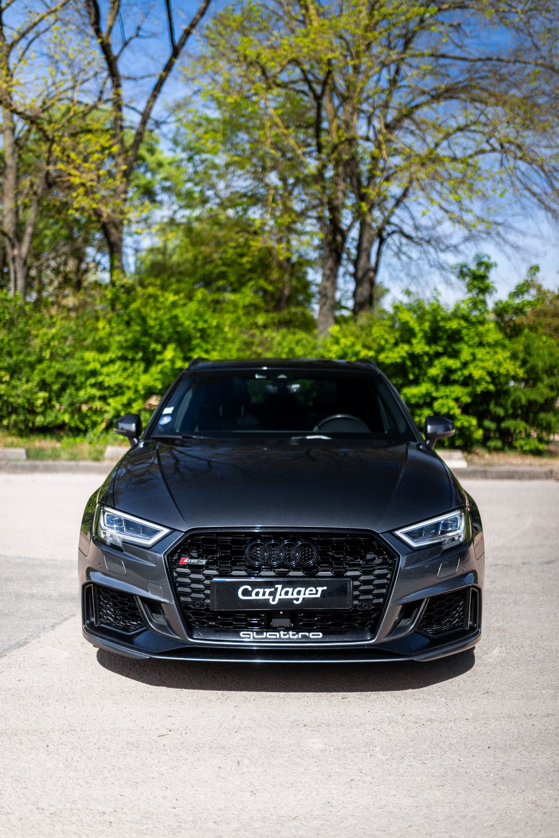 AUDI Rs3 8v2 Sportback Daza 2017 usado detalles (1)