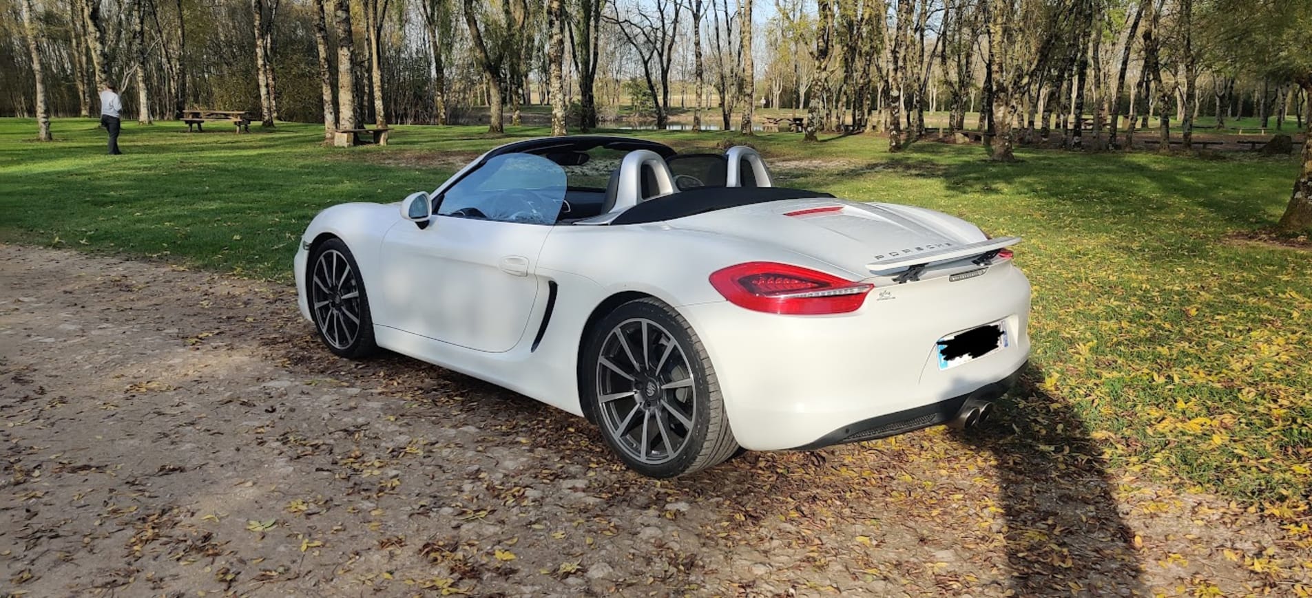 PORSCHE Boxster 981 2013