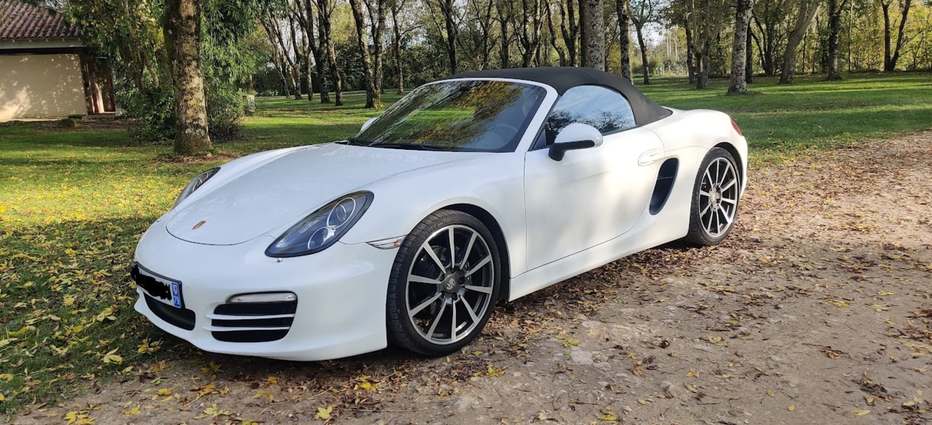 PORSCHE Boxster 981 2013