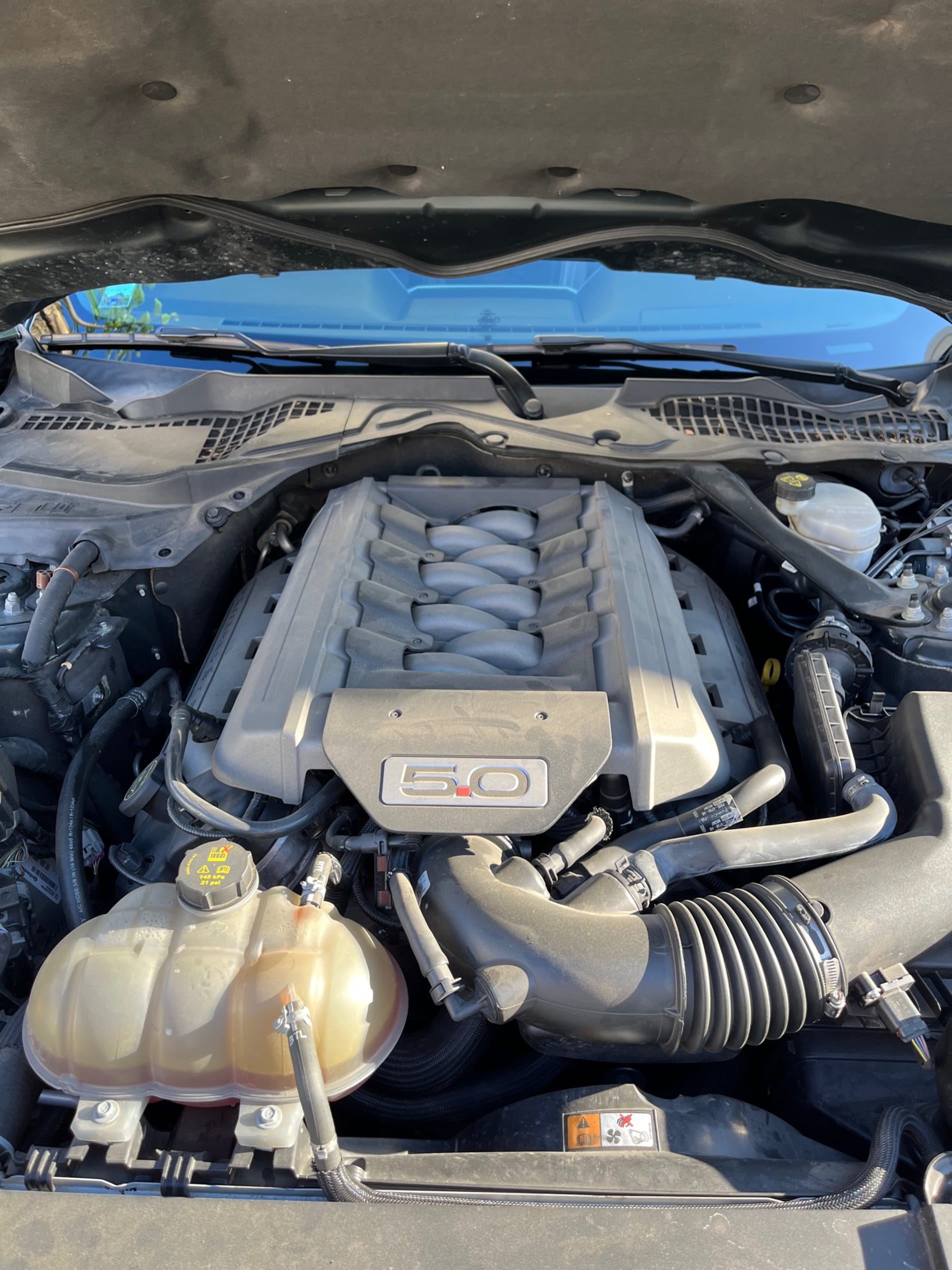 FORD Mustang vi 2015- gt 500 2016