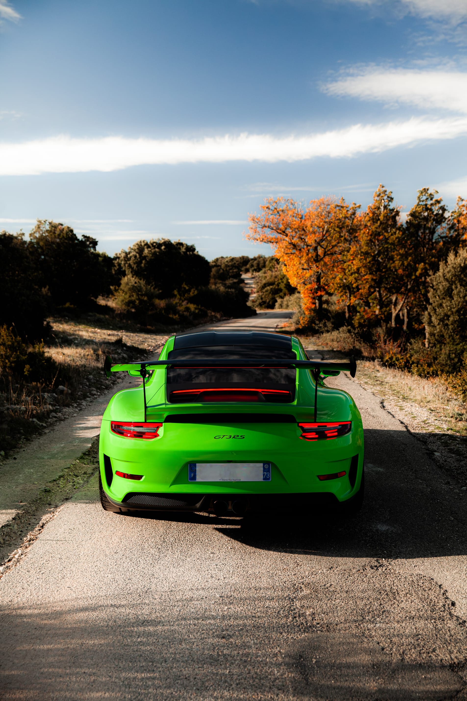 PORSCHE 911 991 GT3 RS 2018