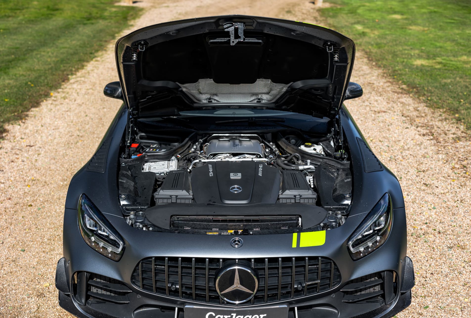 MERCEDES-BENZ Amg gt R Pro 2019