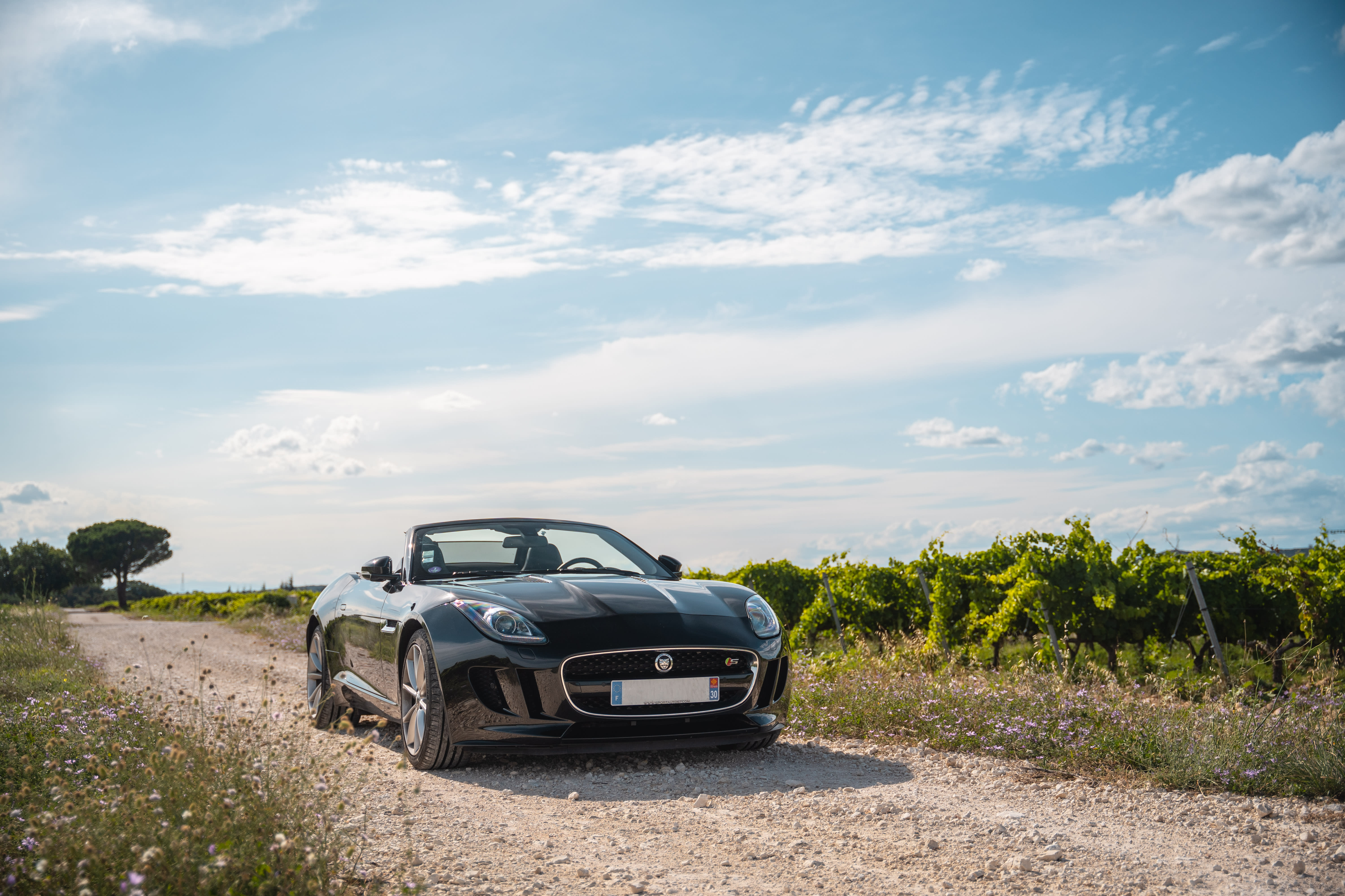 Jaguar F-type  Cabriolet 