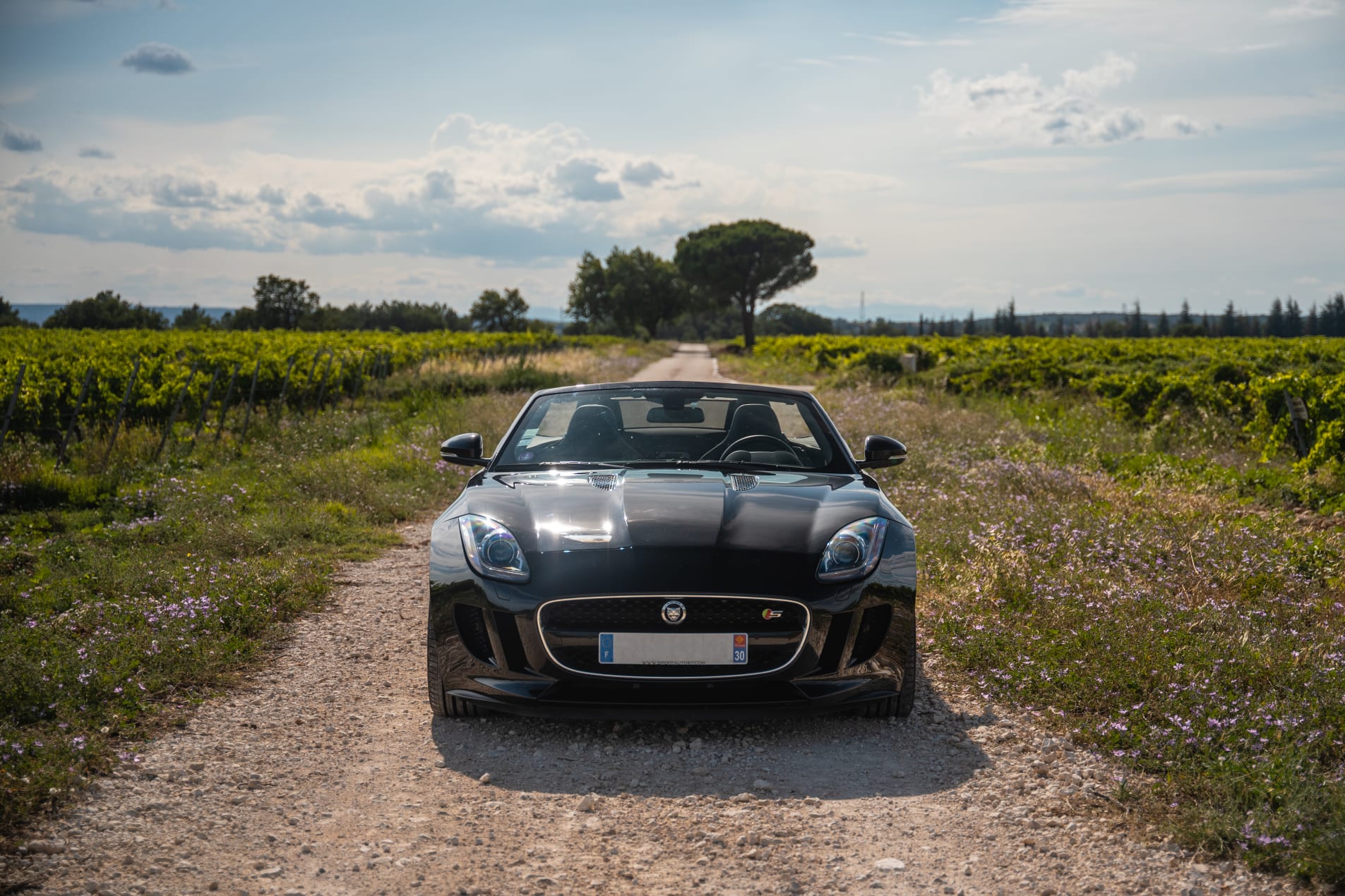 JAGUAR F-type s Cabriolet 2014