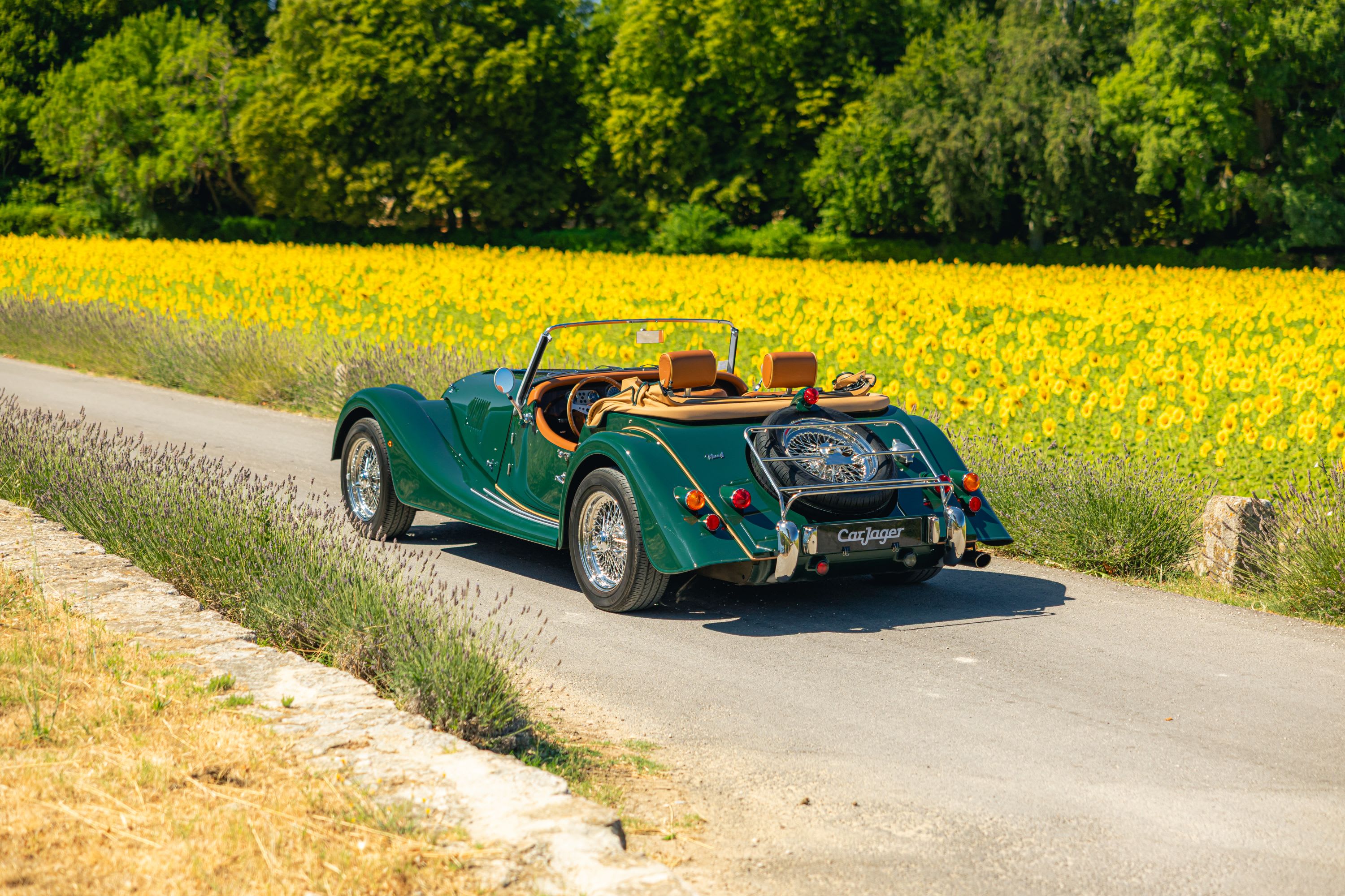 MORGAN Plus 4   2015 occasion extérieur (2)