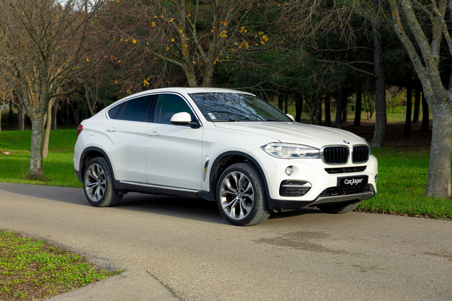 Photo BMW X6 xDrive 30dA Lounge Plus 2017