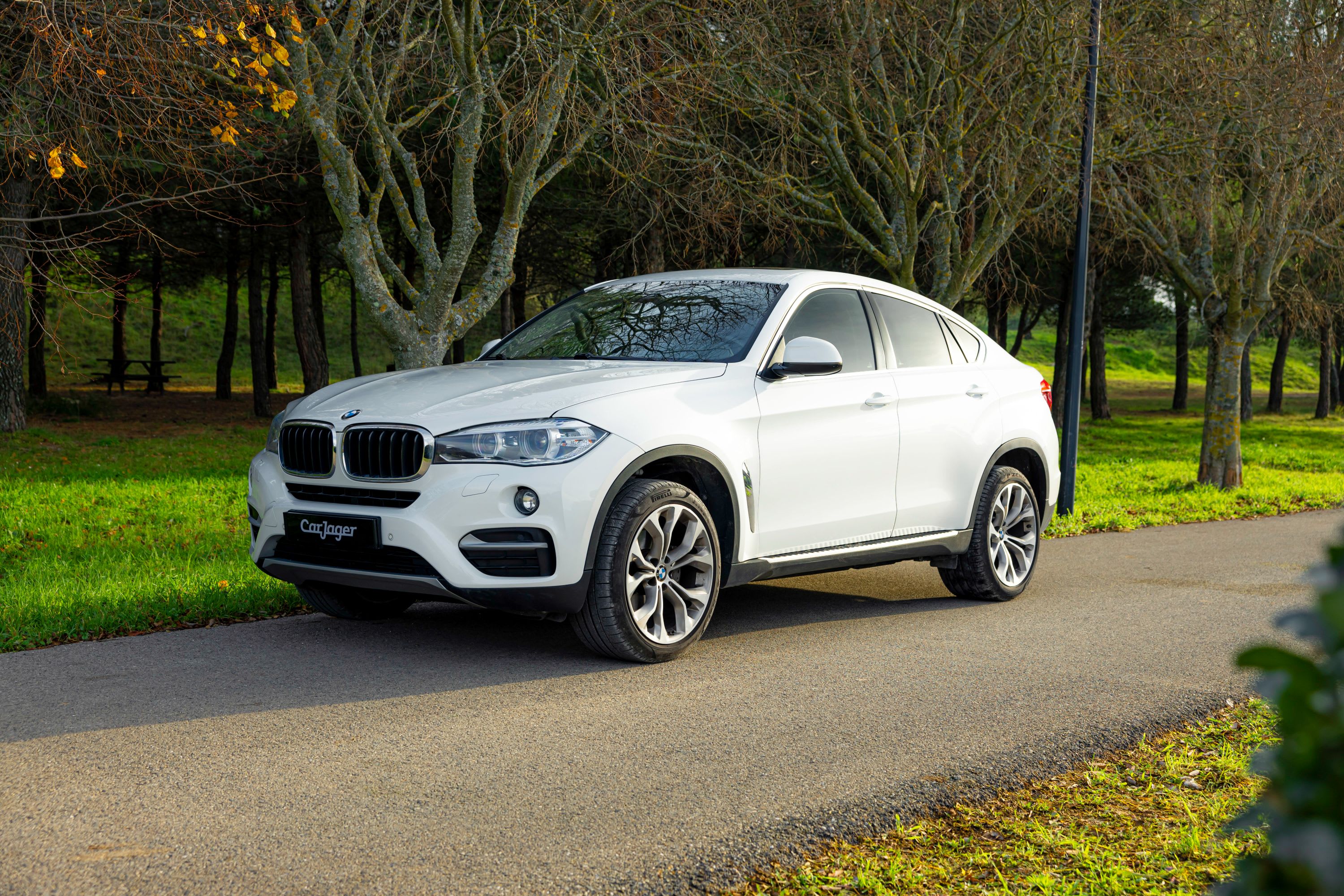 BMW X6 Xdrive 30da Lounge Plus 2017 used exterior (2)