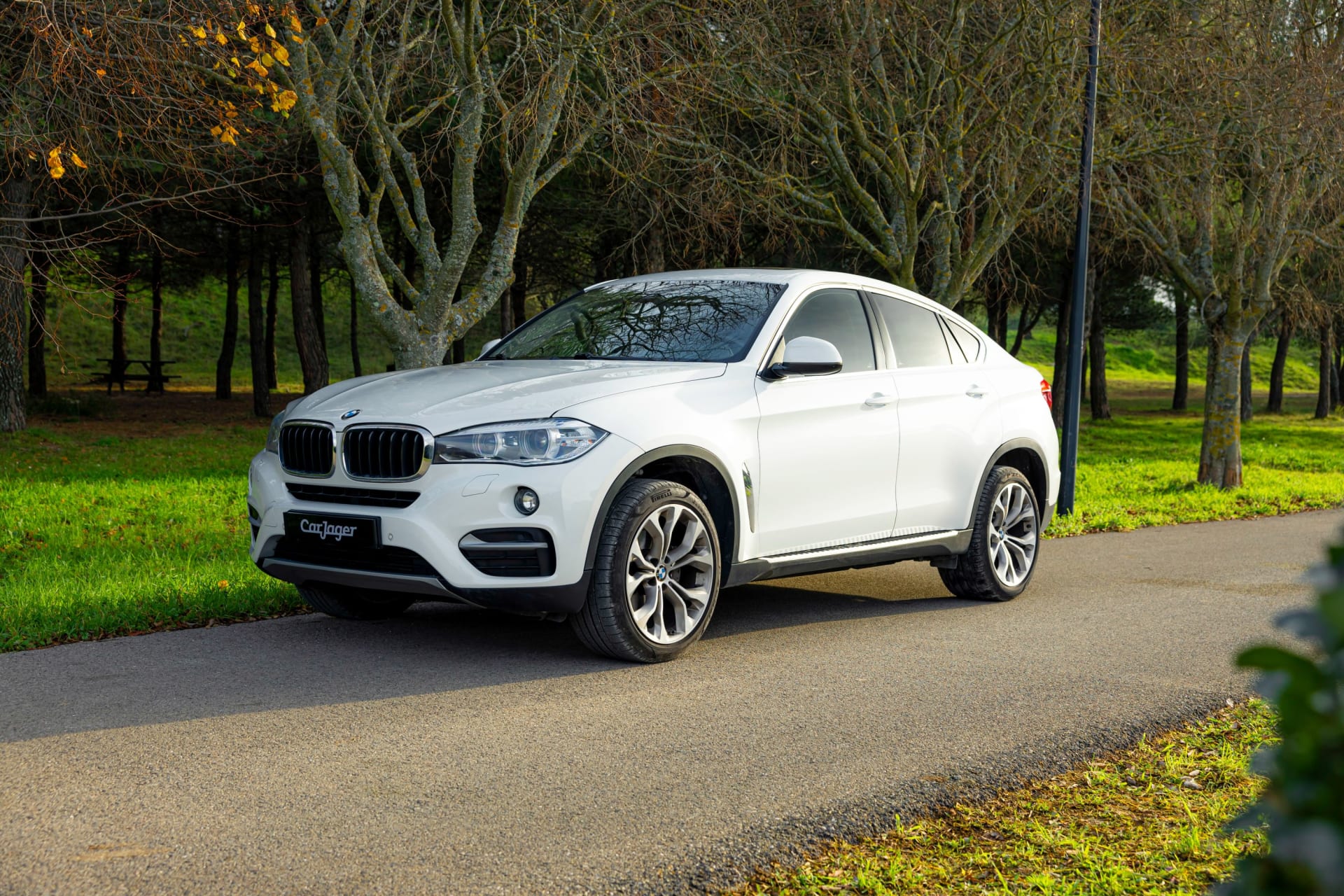 Bmw X6 Xdrive 30da Lounge Plus