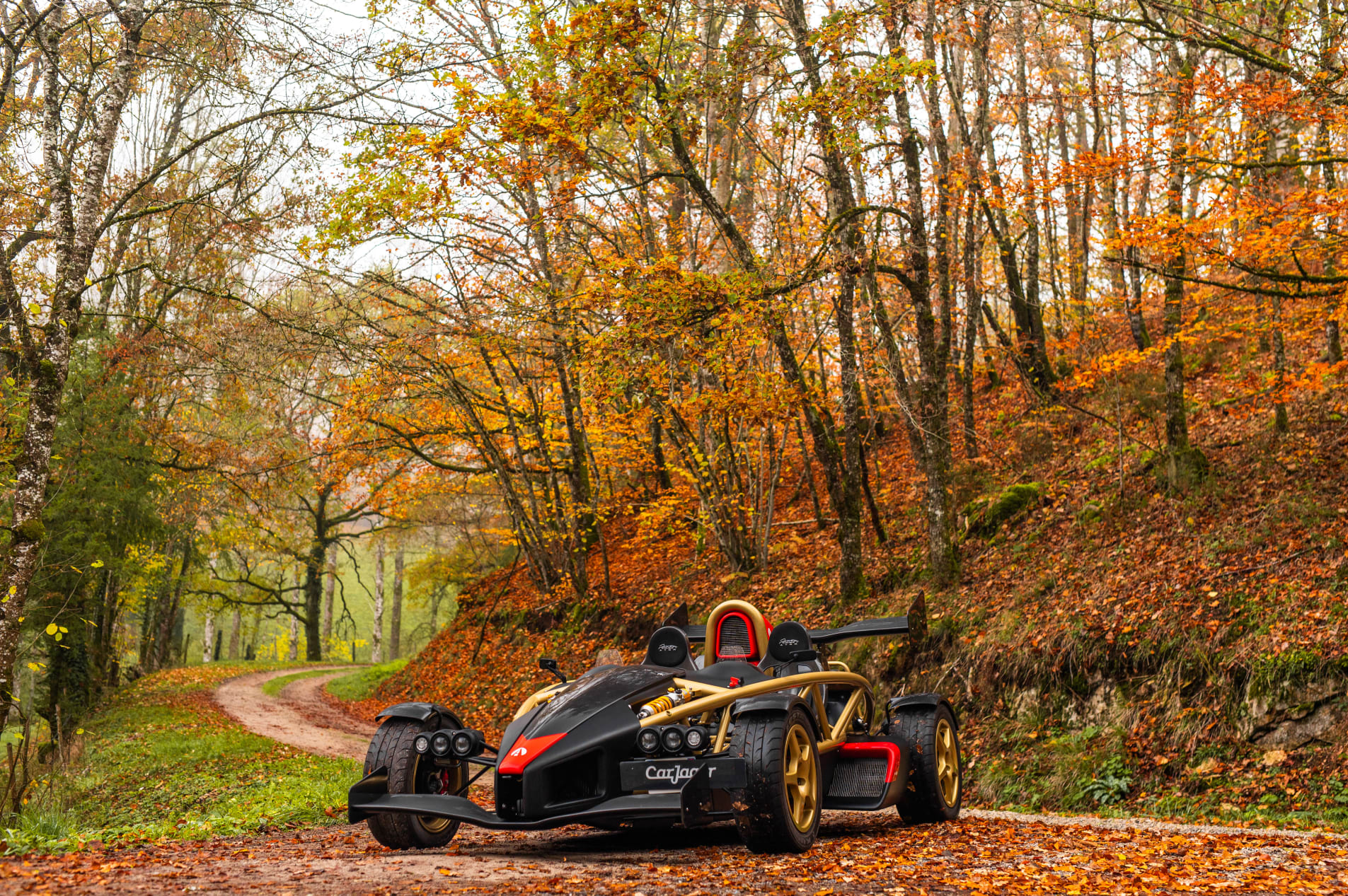 ARIEL Atom 500 V8 3.0 2013