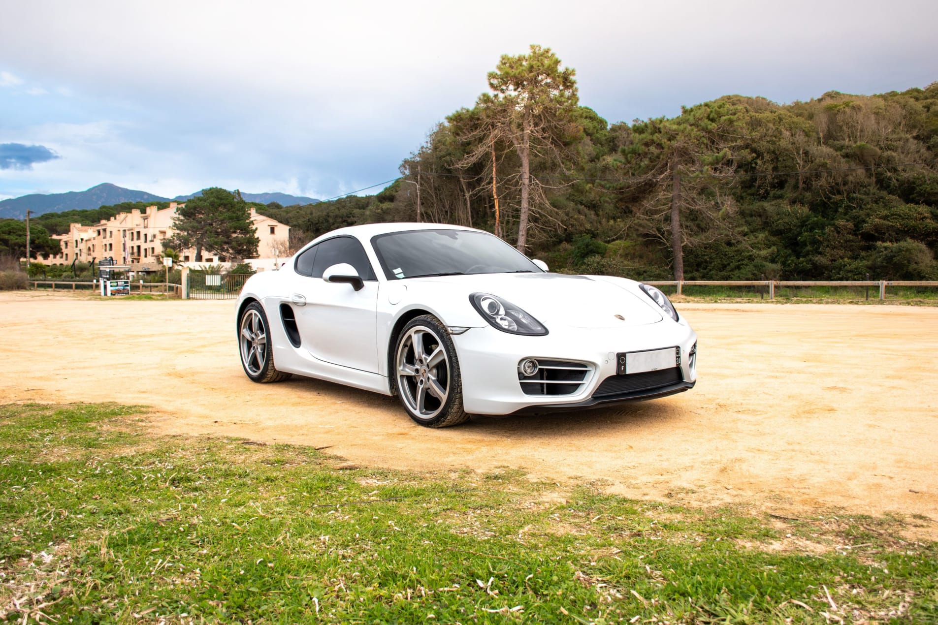 PORSCHE Cayman 981 2014