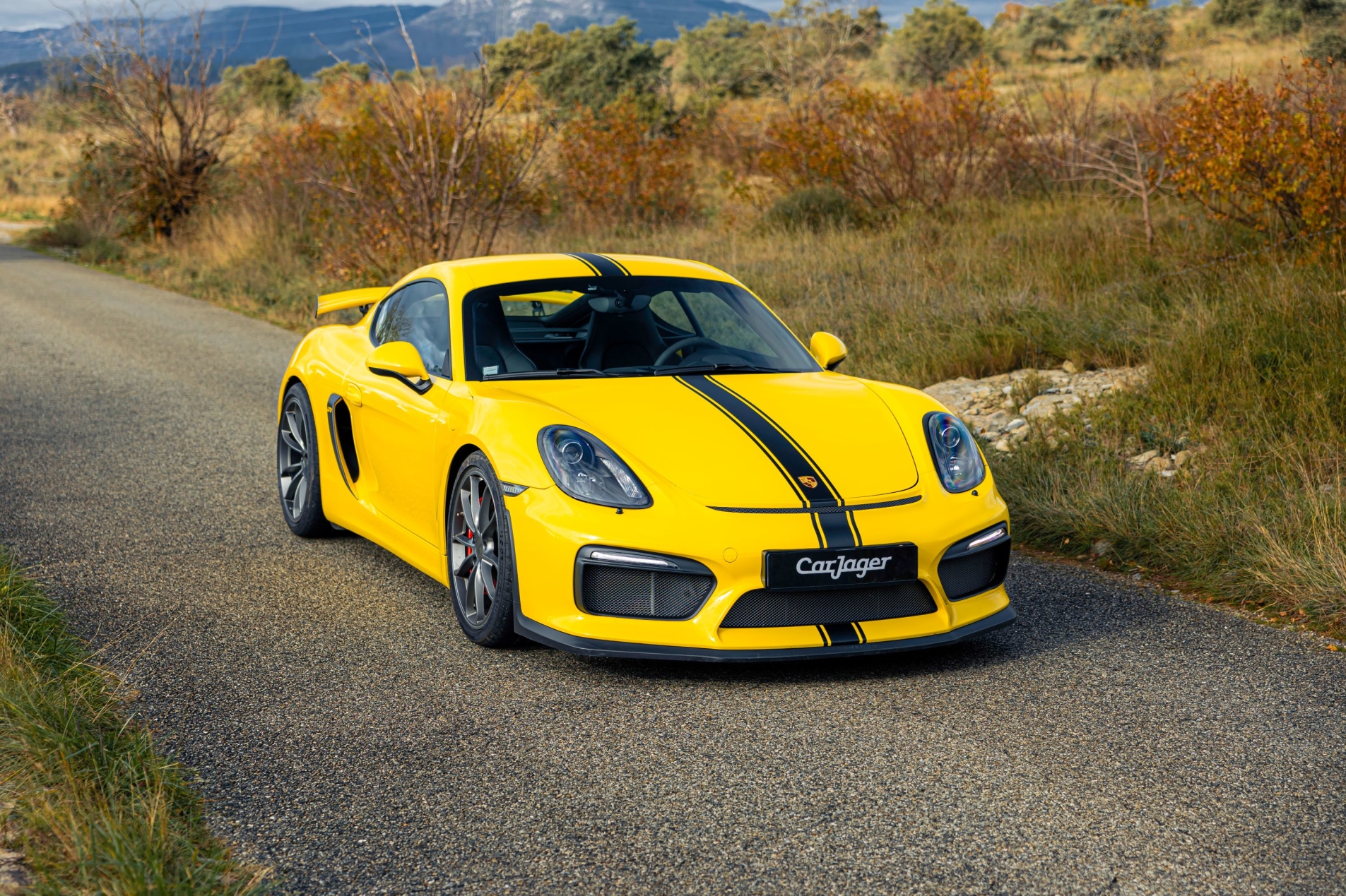 Photo PORSCHE Cayman 981 GT4 2016