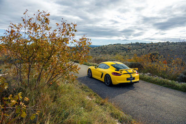 Porsche Cayman 981 Gt4
