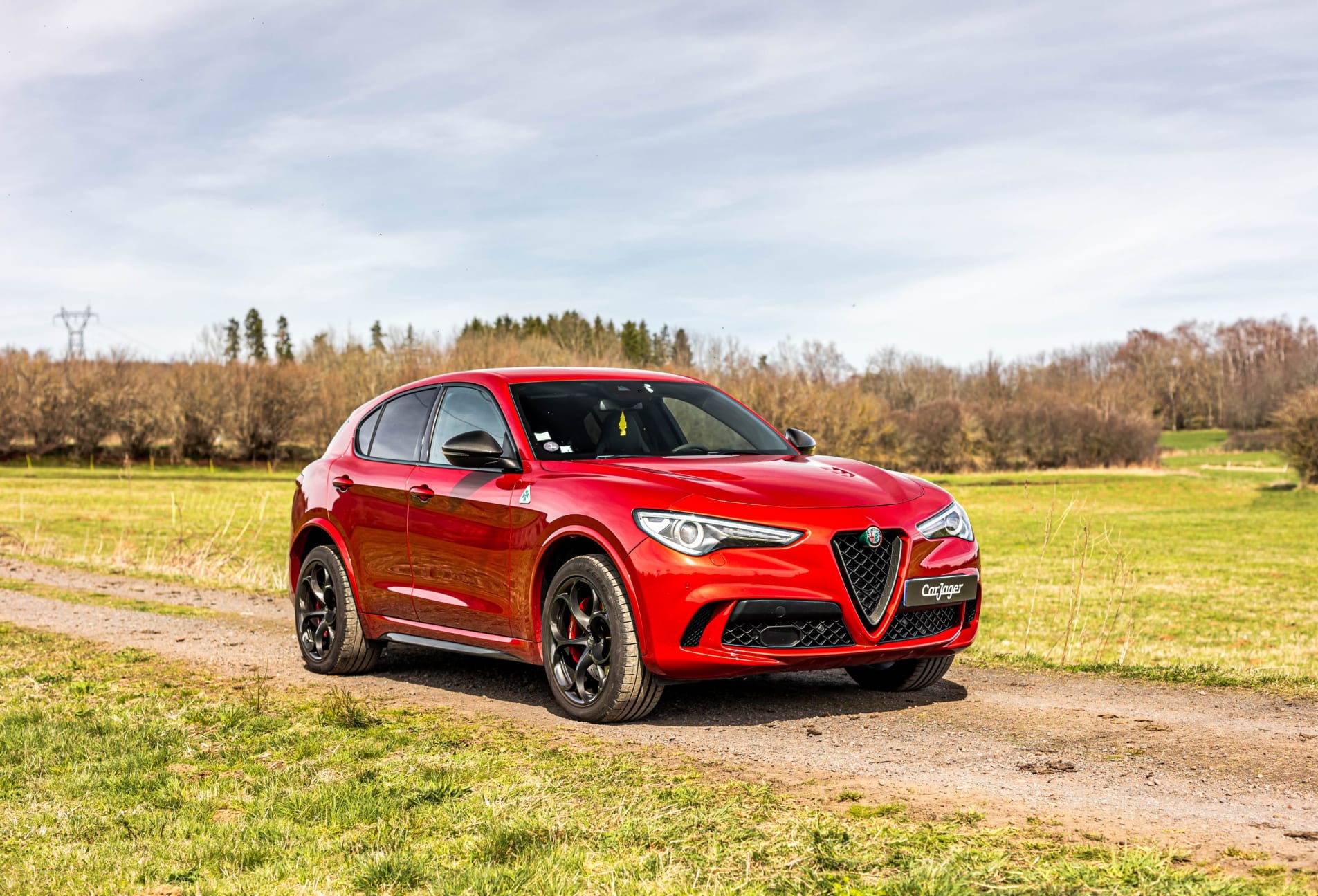 ALFA ROMEO Stelvio Quadrifoglio 2017