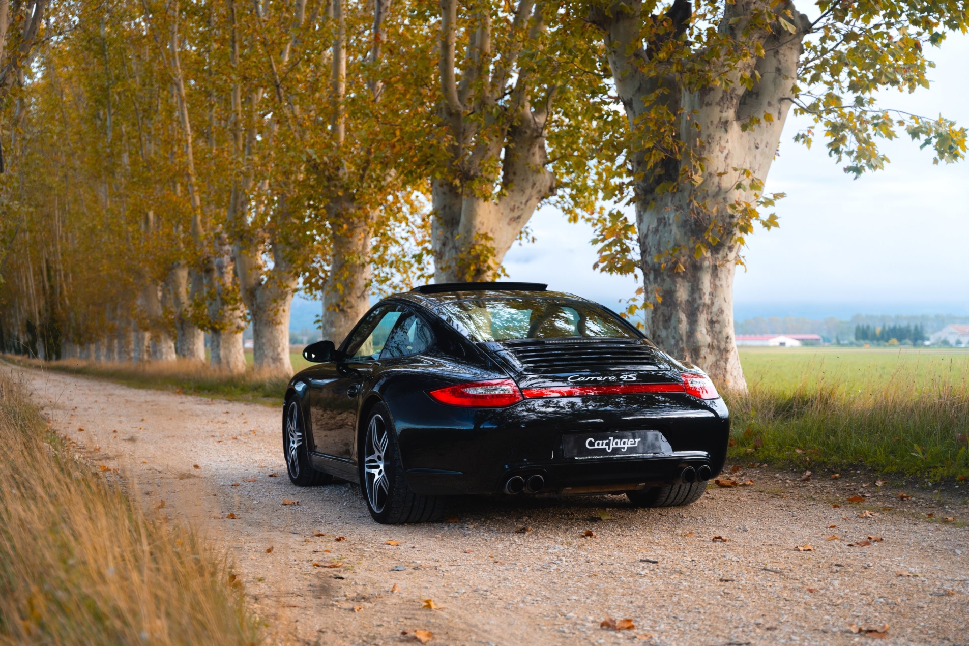 Photo PORSCHE 911 997.2 Carrera 4S 2010